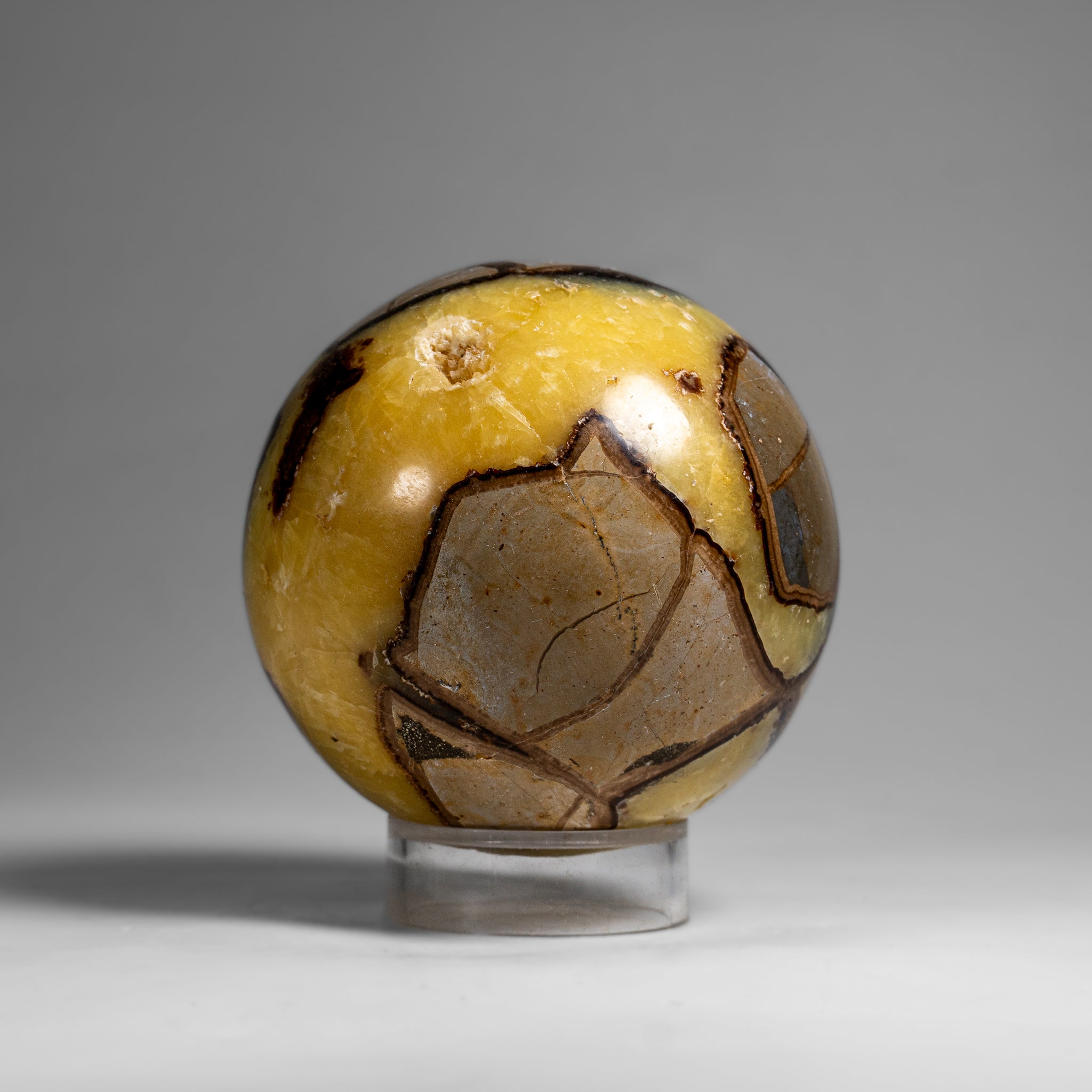 Genuine Polished Septarian Sphere from Madagascar (2 lbs)
