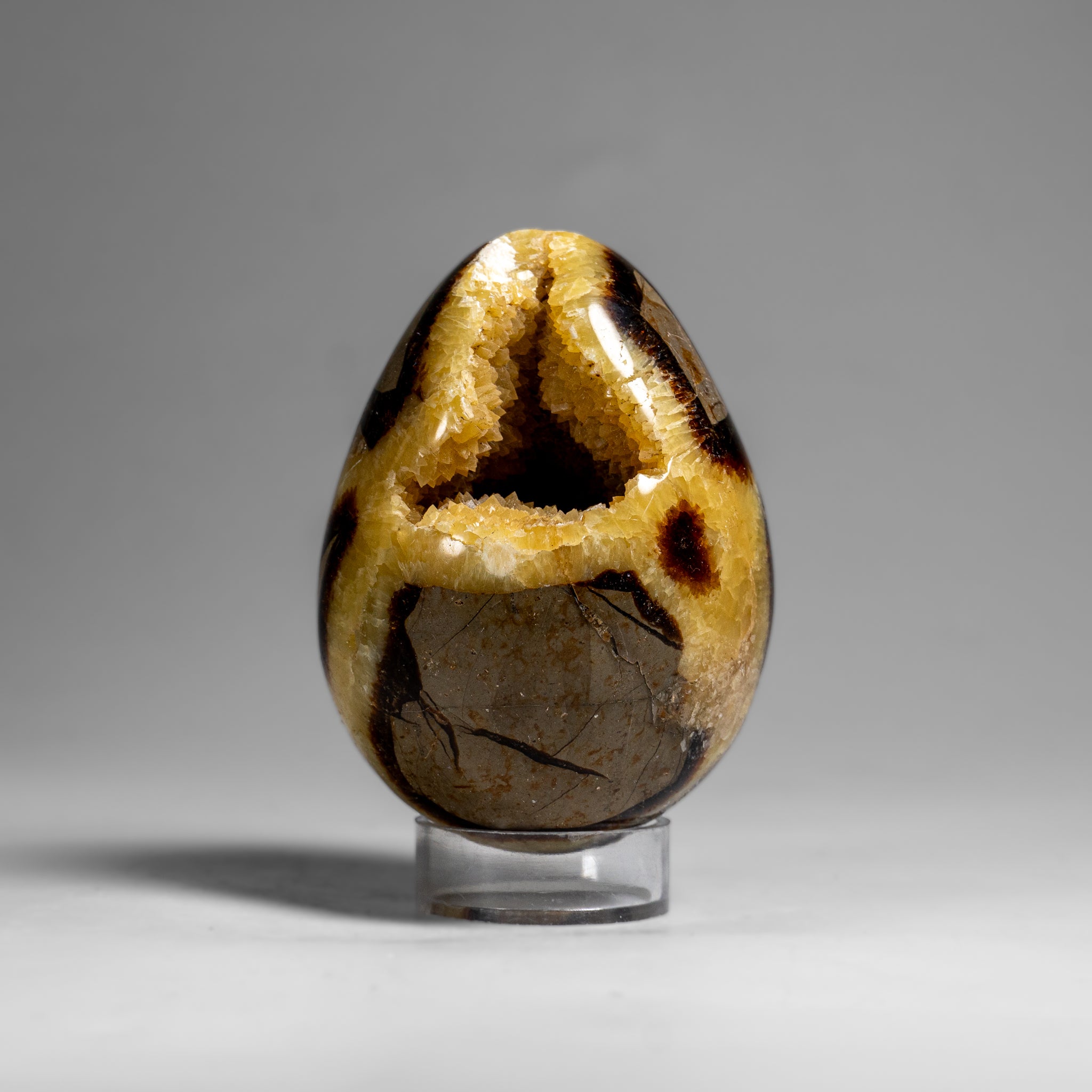 Genuine Polished Septarian Egg (3") from Madagascar (297.5 grams)