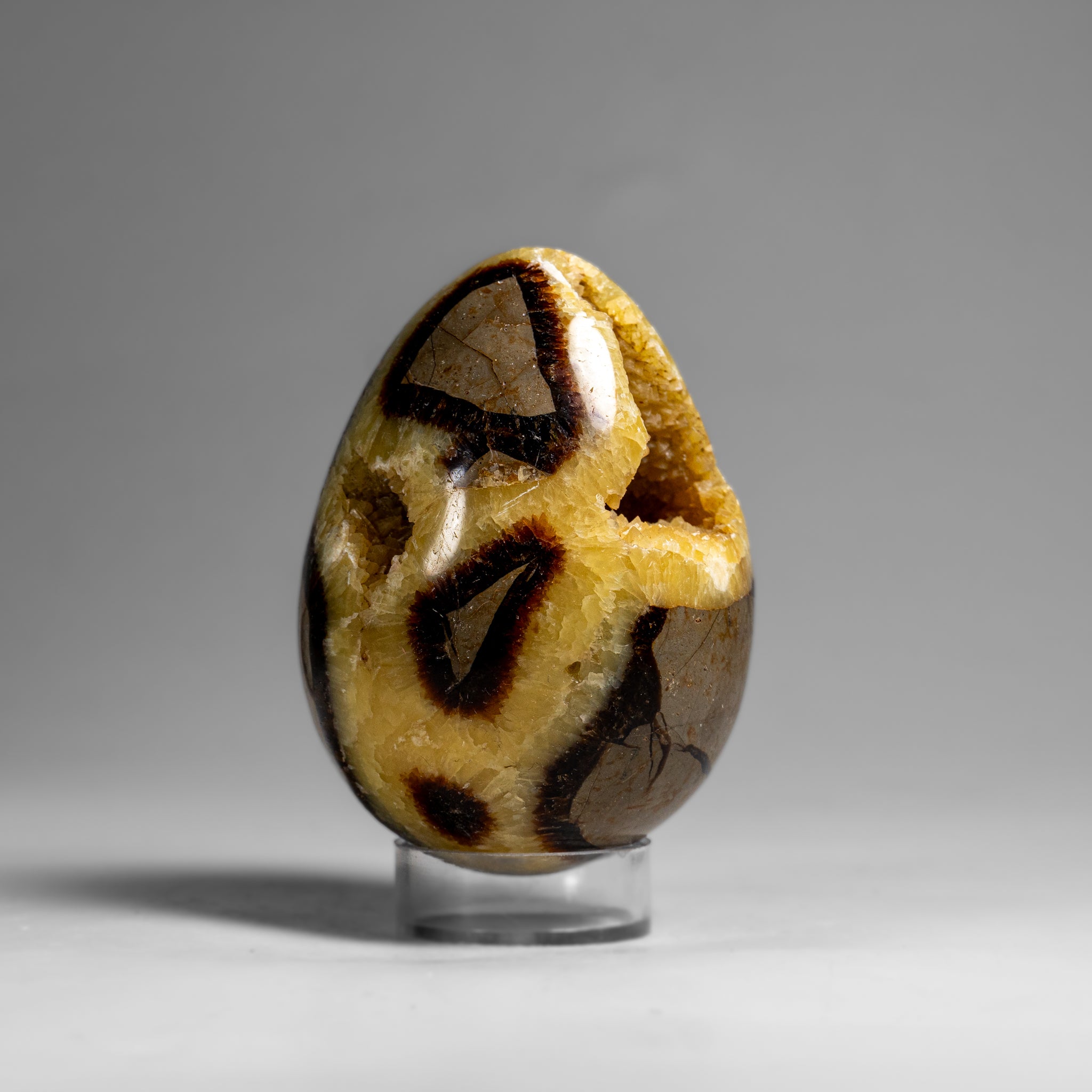 Genuine Polished Septarian Egg (3") from Madagascar (297.5 grams)