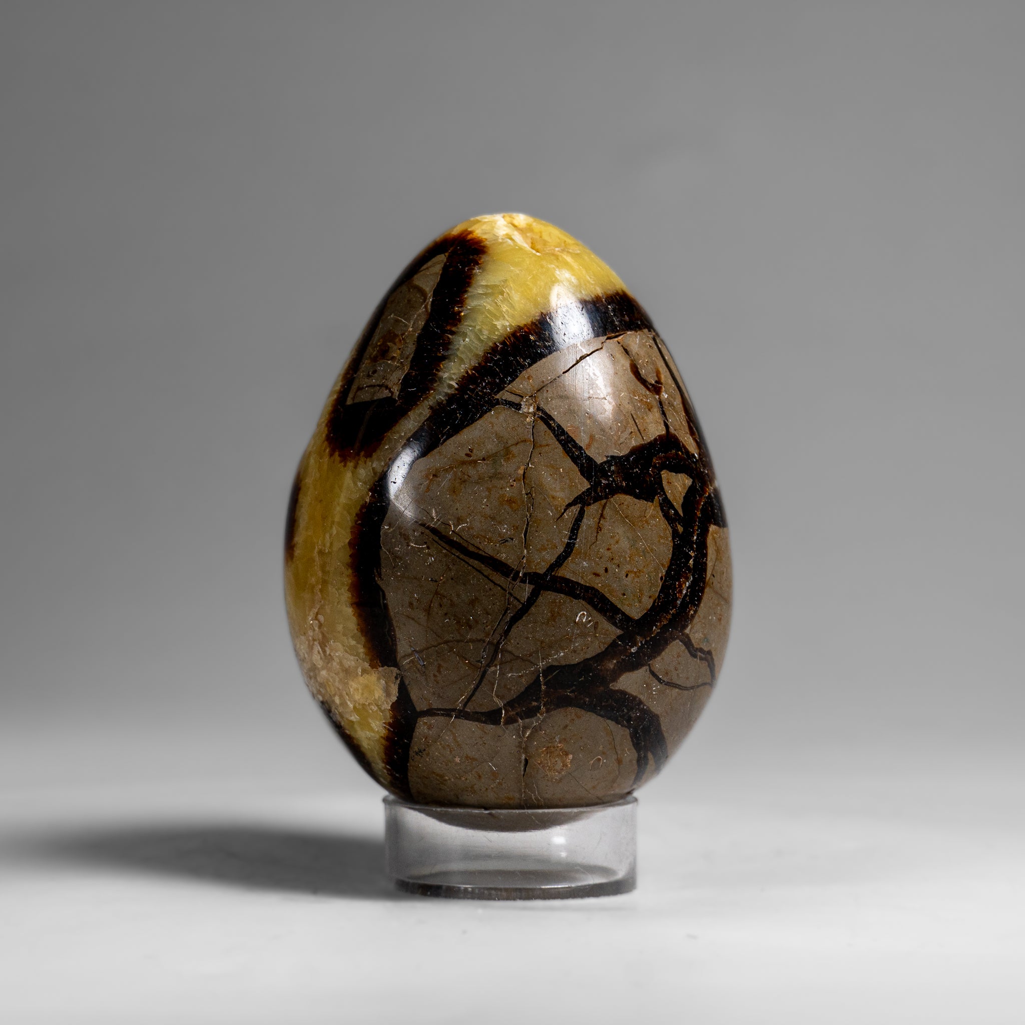 Genuine Polished Septarian Egg (3") from Madagascar (297.5 grams)