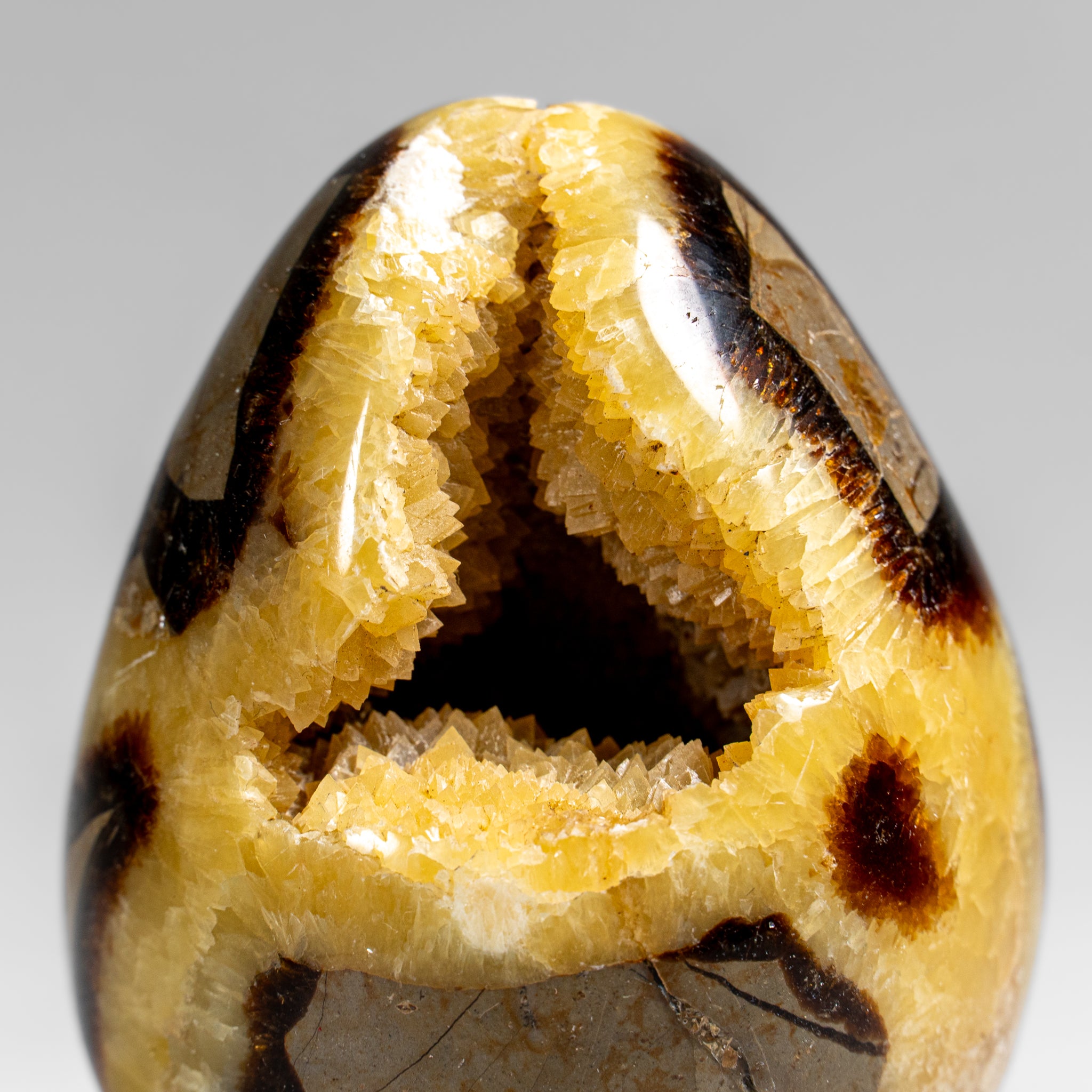 Genuine Polished Septarian Egg (3") from Madagascar (297.5 grams)