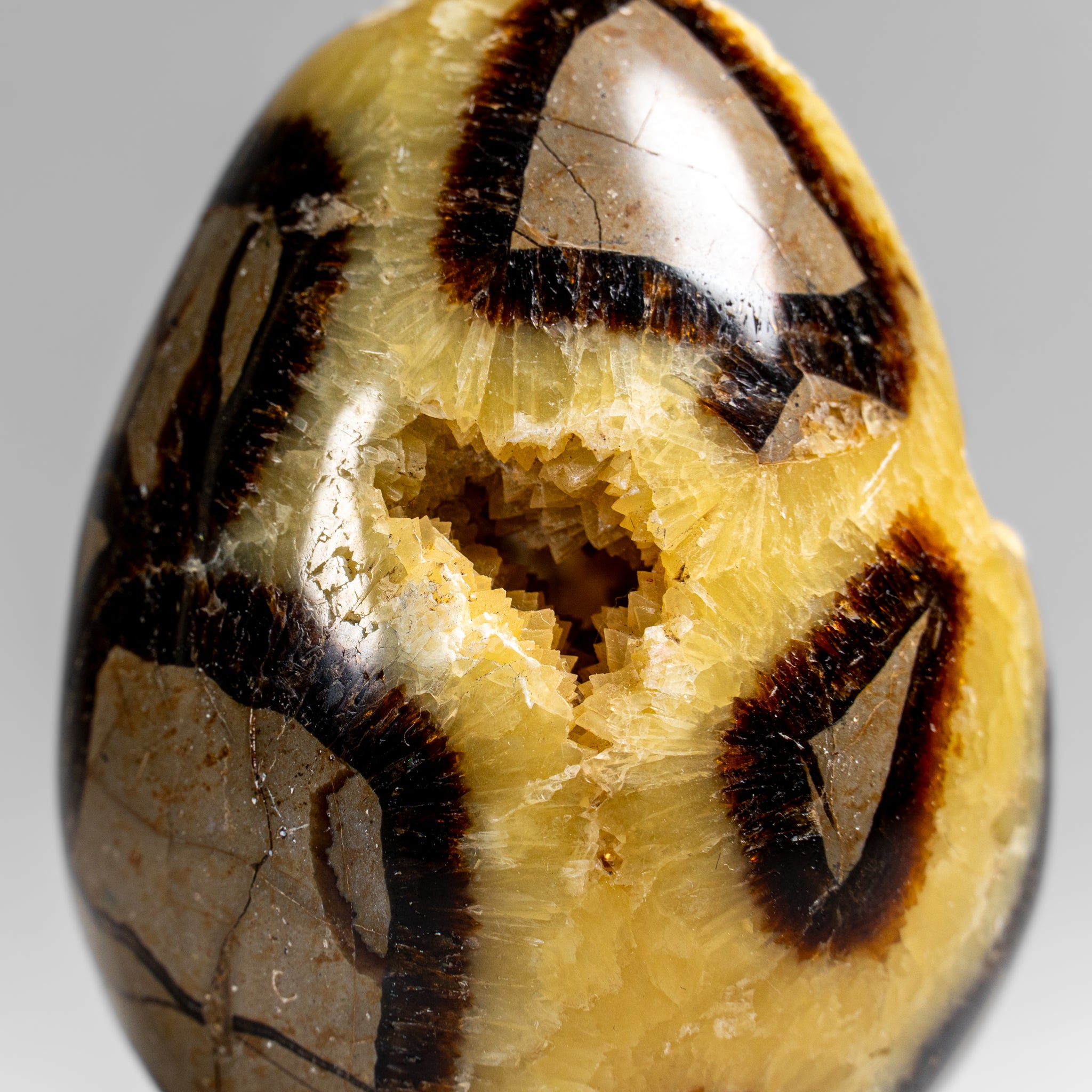 Genuine Polished Septarian Egg (3") from Madagascar (297.5 grams)