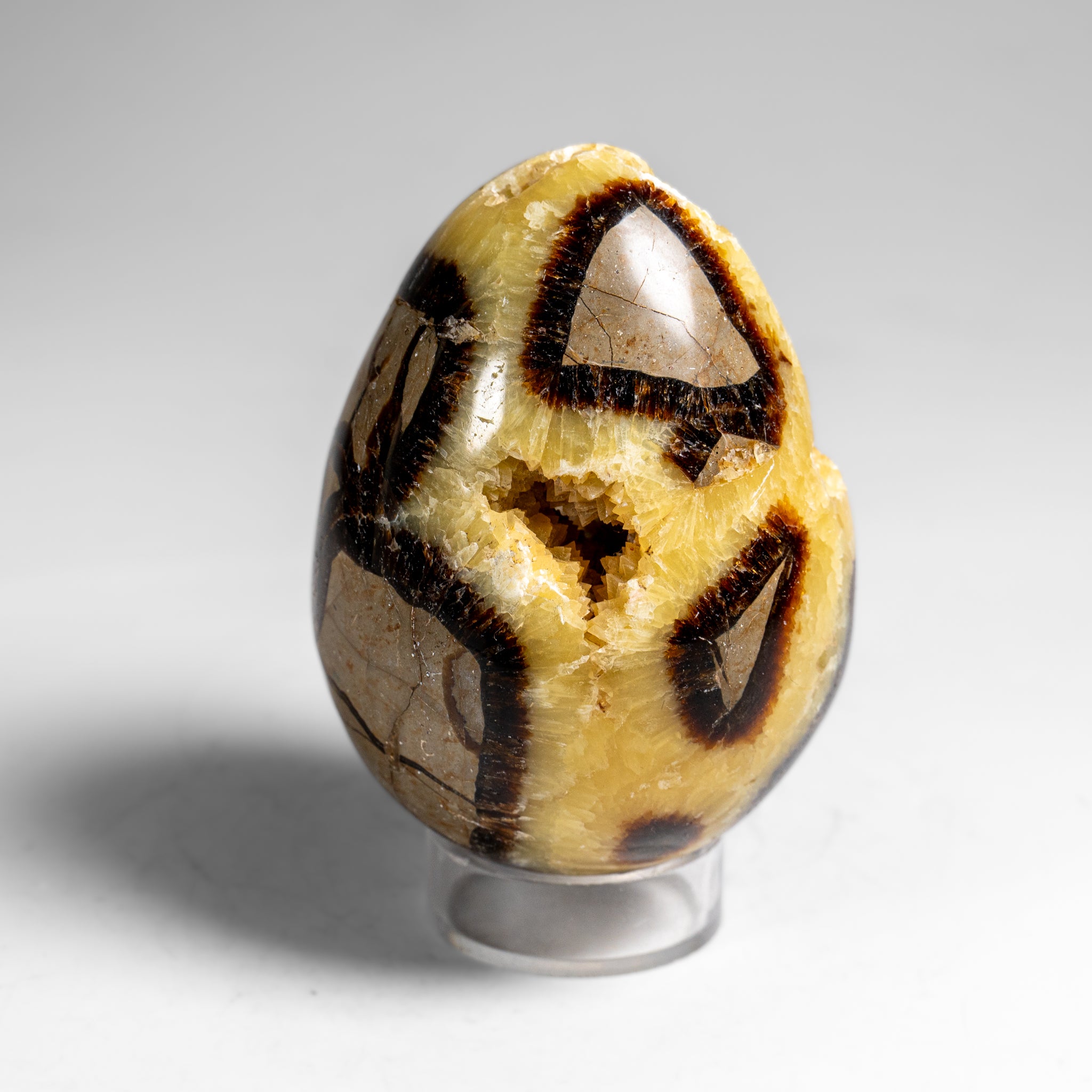 Genuine Polished Septarian Egg (3") from Madagascar (297.5 grams)