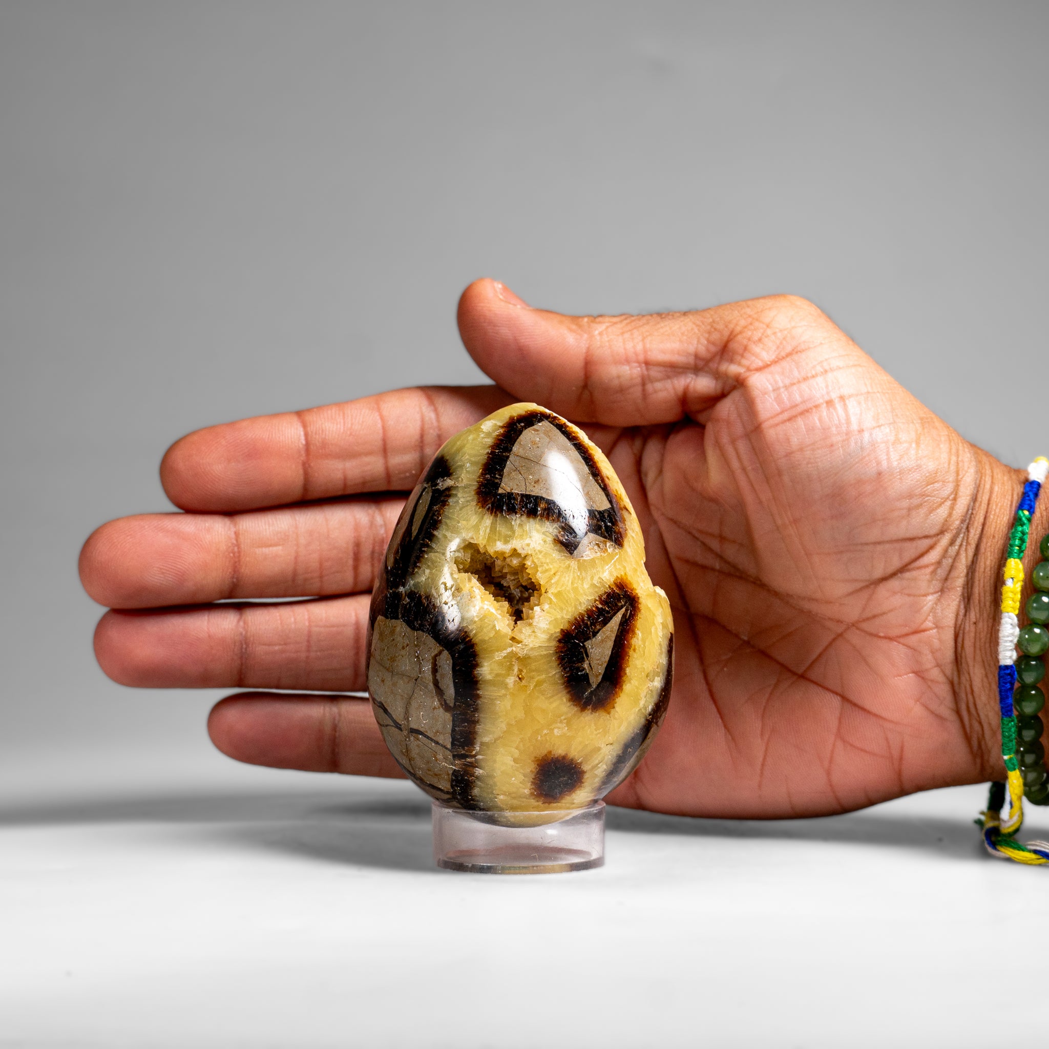 Genuine Polished Septarian Egg (3") from Madagascar (297.5 grams)