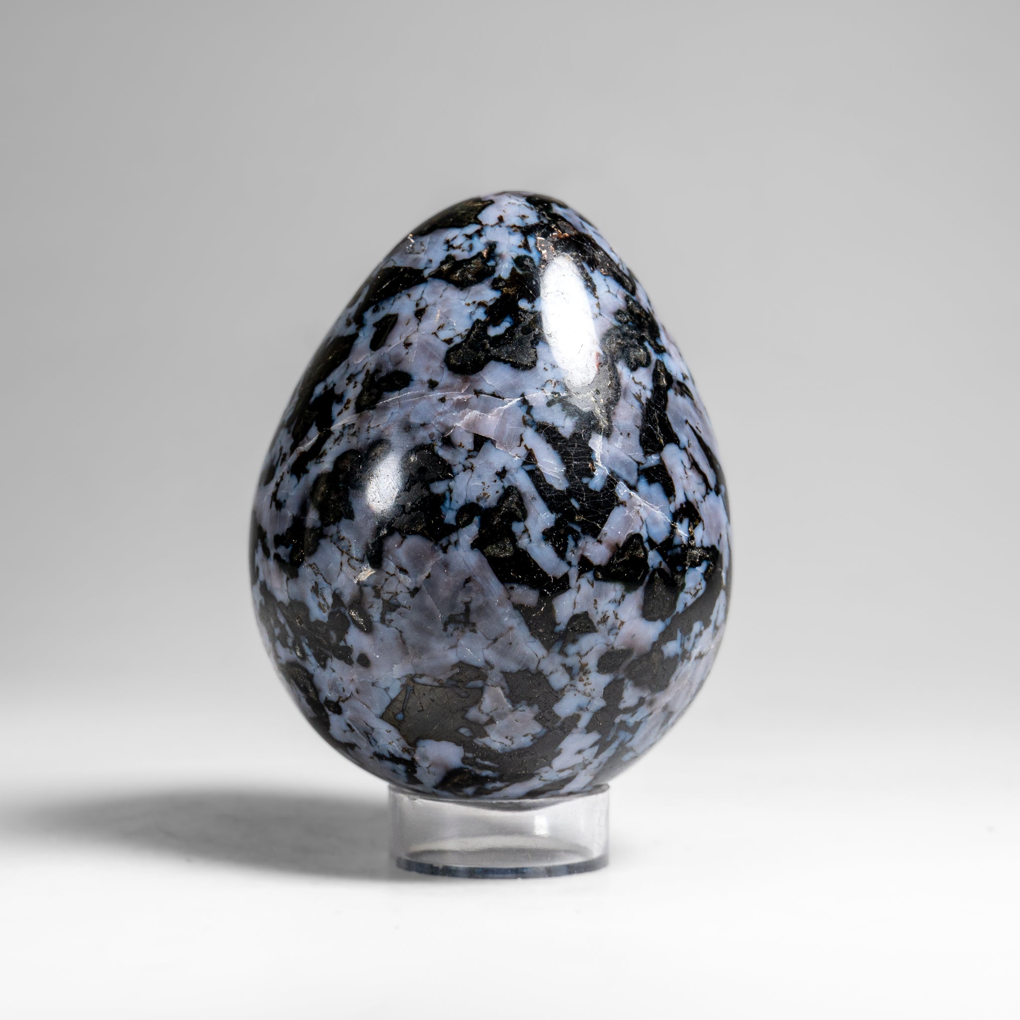 Genuine Polished Indigo Gabbro Egg from Madagascar (1.3 lbs)