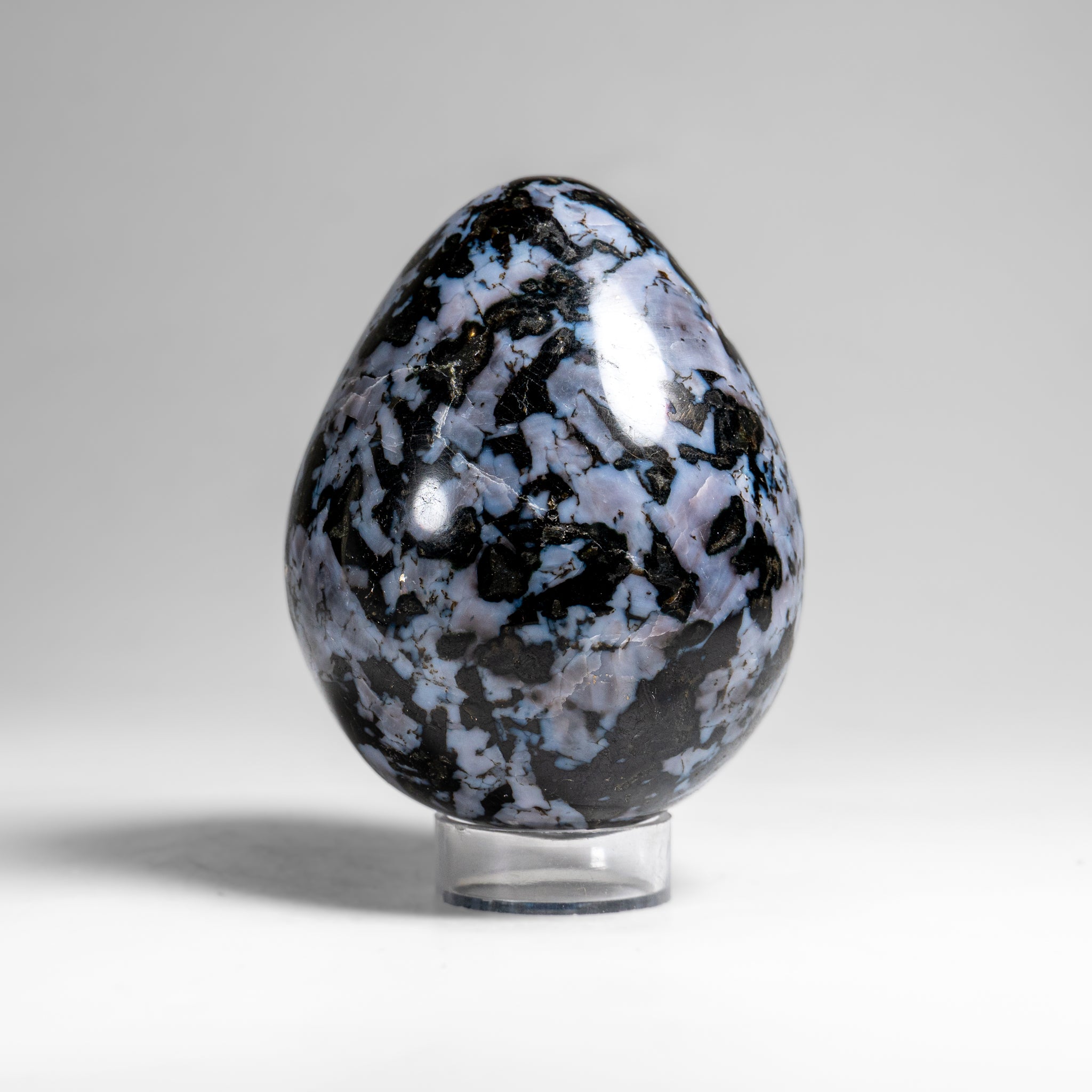 Genuine Polished Indigo Gabbro Egg from Madagascar (1.3 lbs)