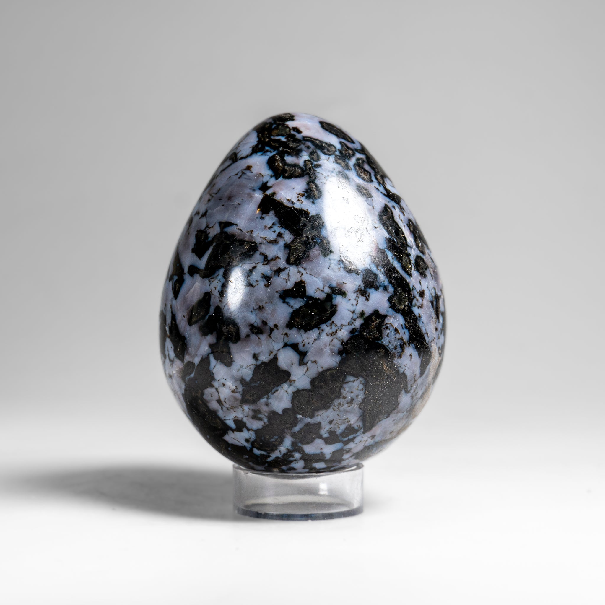 Genuine Polished Indigo Gabbro Egg from Madagascar (1.3 lbs)