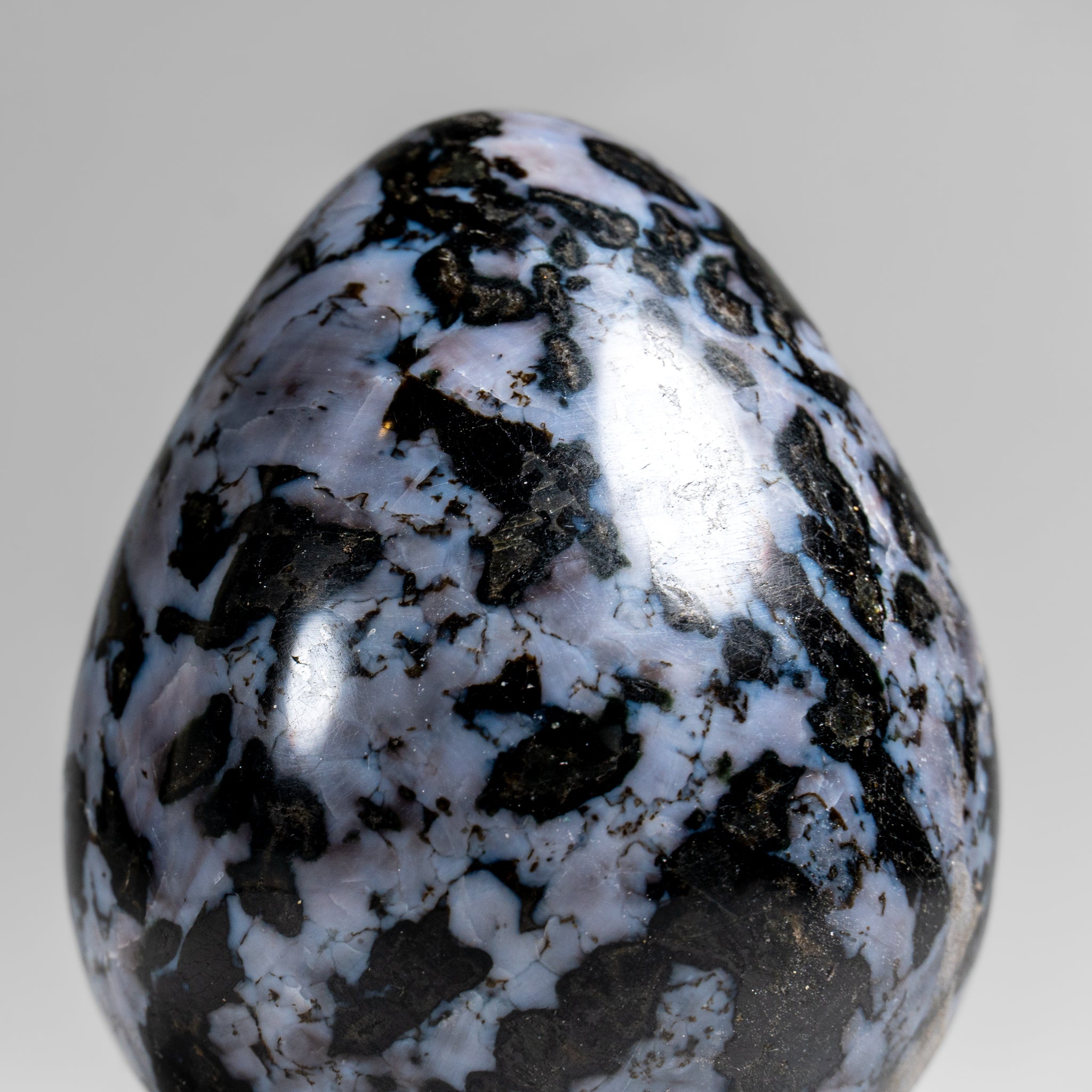 Genuine Polished Indigo Gabbro Egg from Madagascar (1.3 lbs)