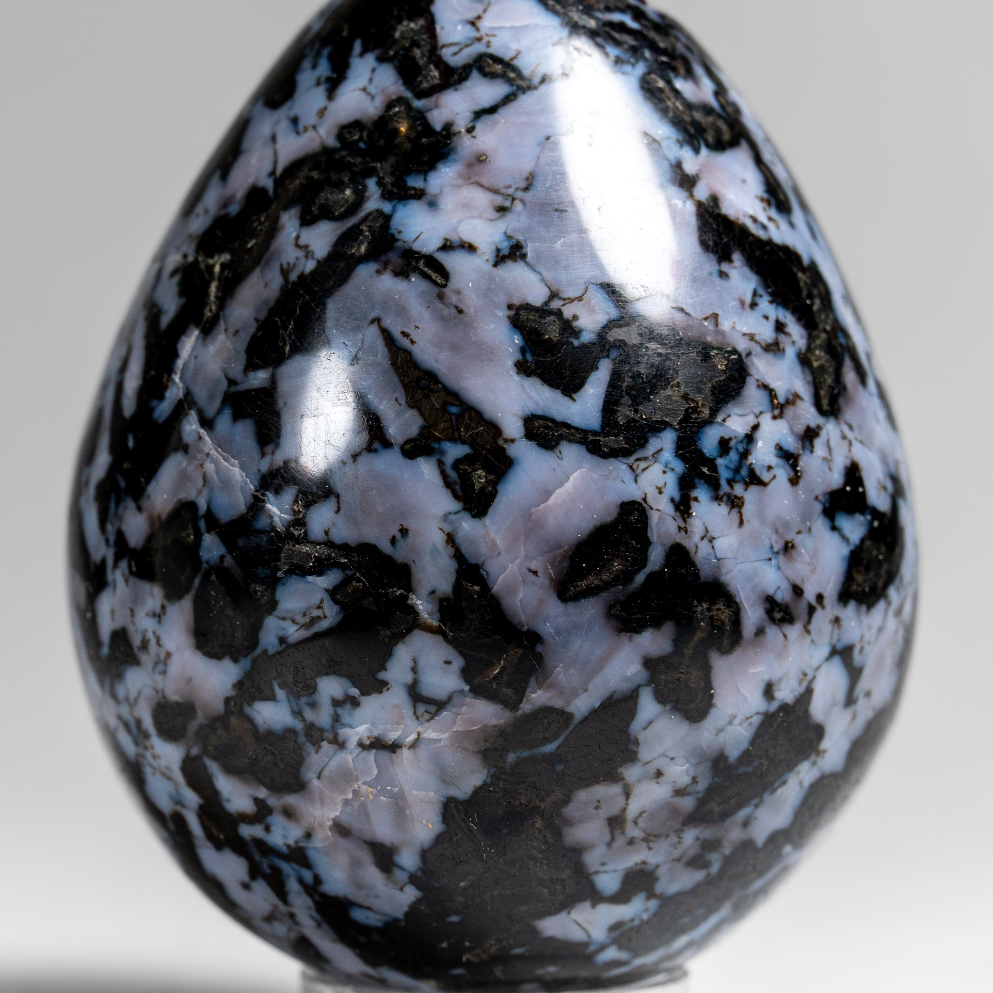 Genuine Polished Indigo Gabbro Egg from Madagascar (1.3 lbs)