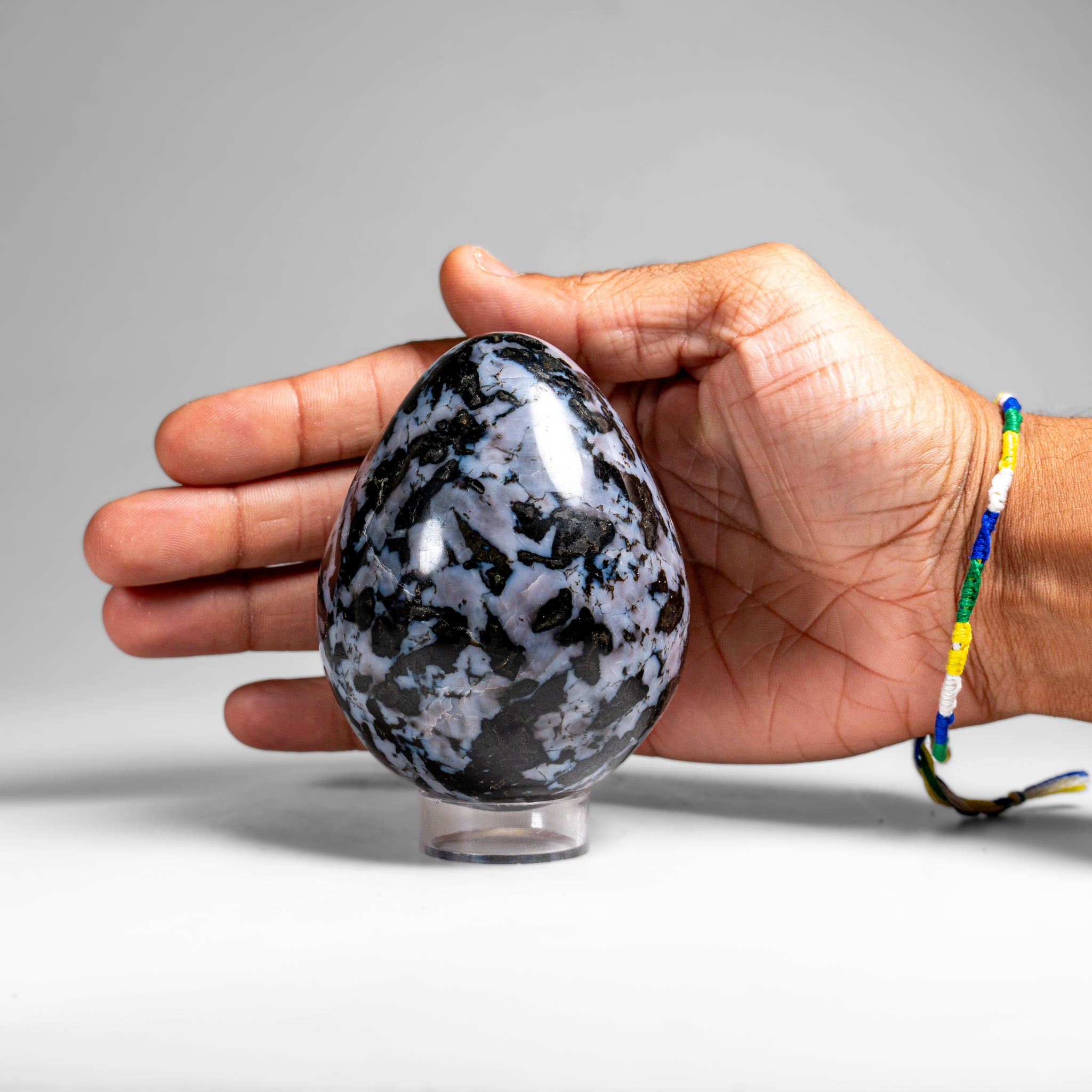 Genuine Polished Indigo Gabbro Egg from Madagascar (1.3 lbs)