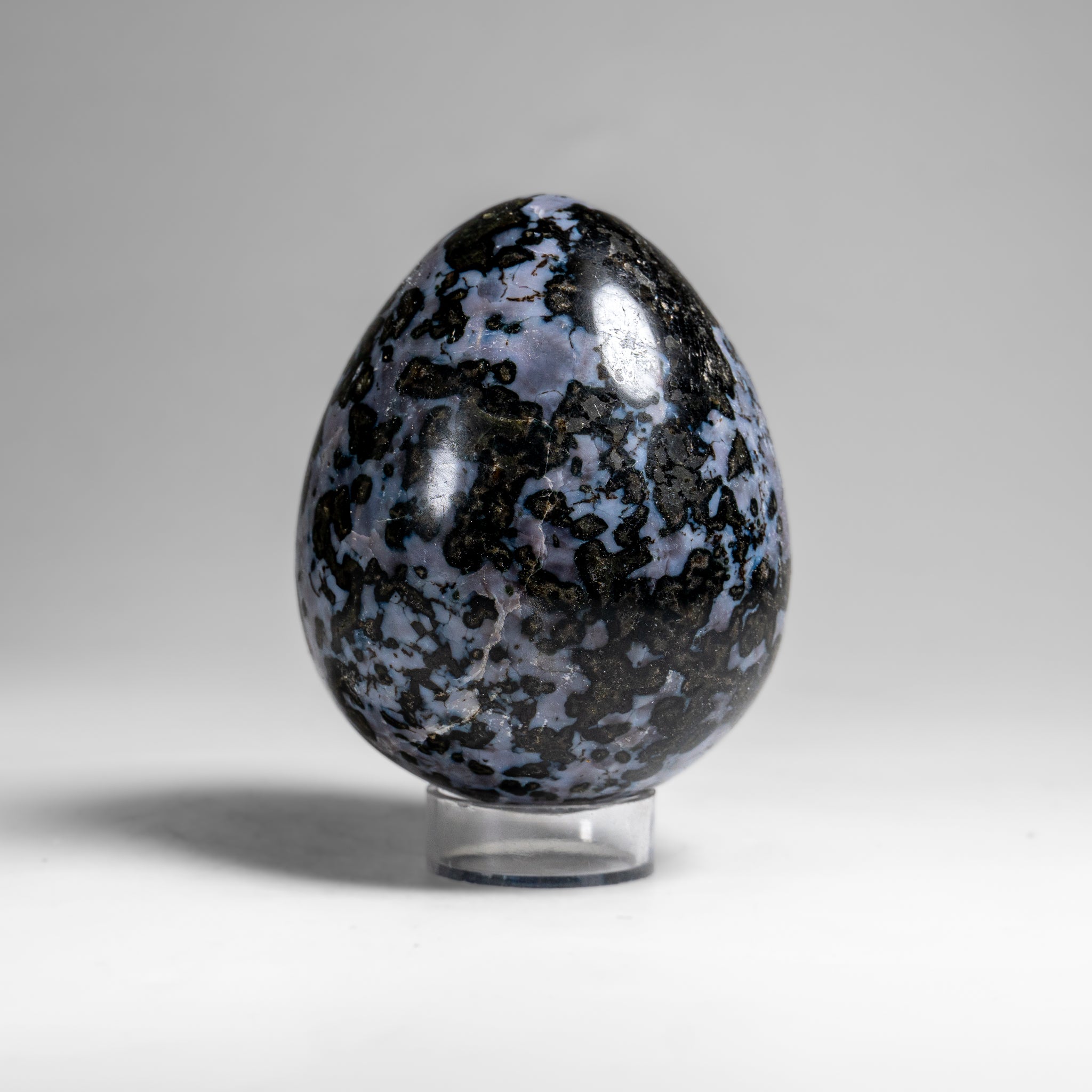 Genuine Polished Indigo Gabbro Egg from Madagascar (1.3 lbs)