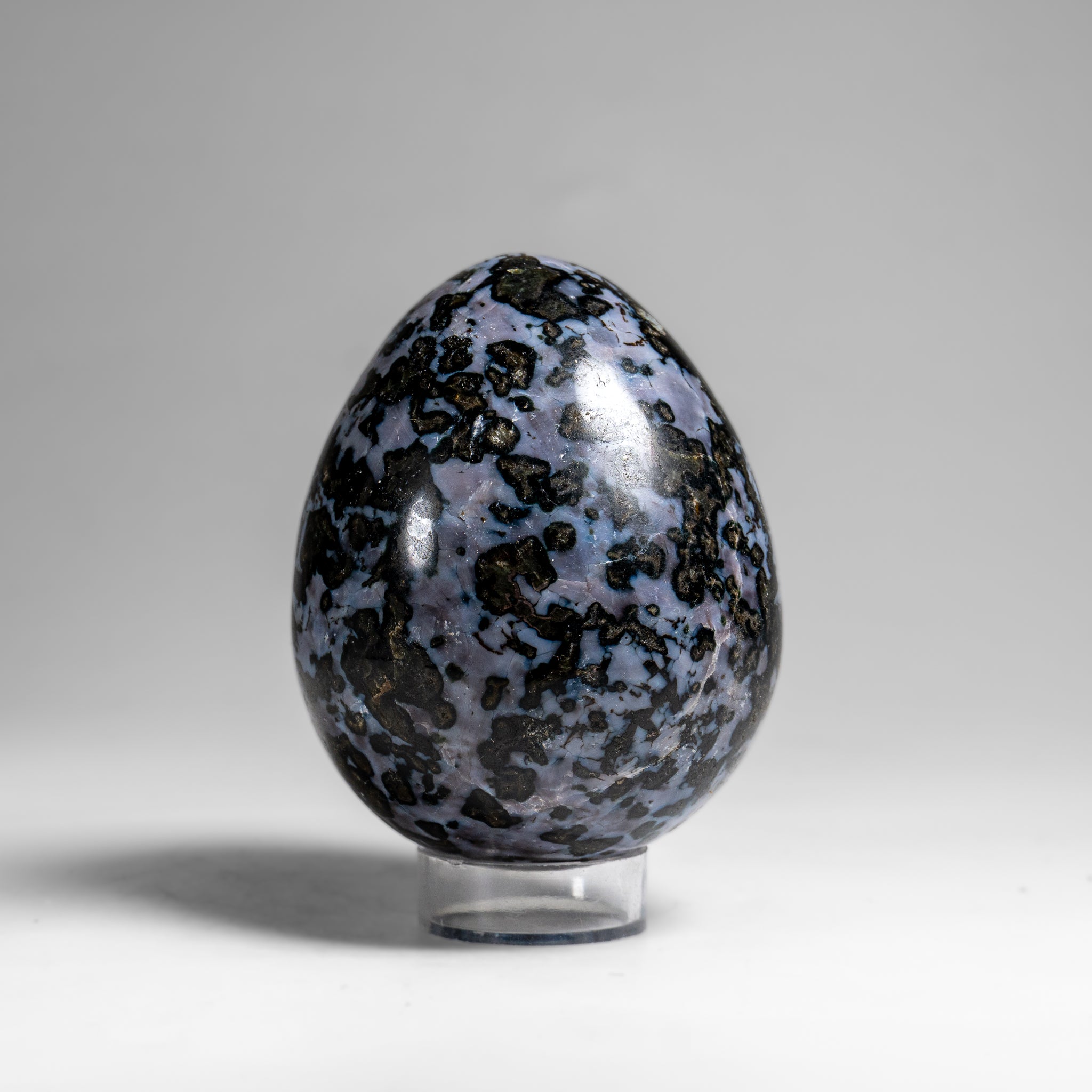 Genuine Polished Indigo Gabbro Egg from Madagascar (1.3 lbs)