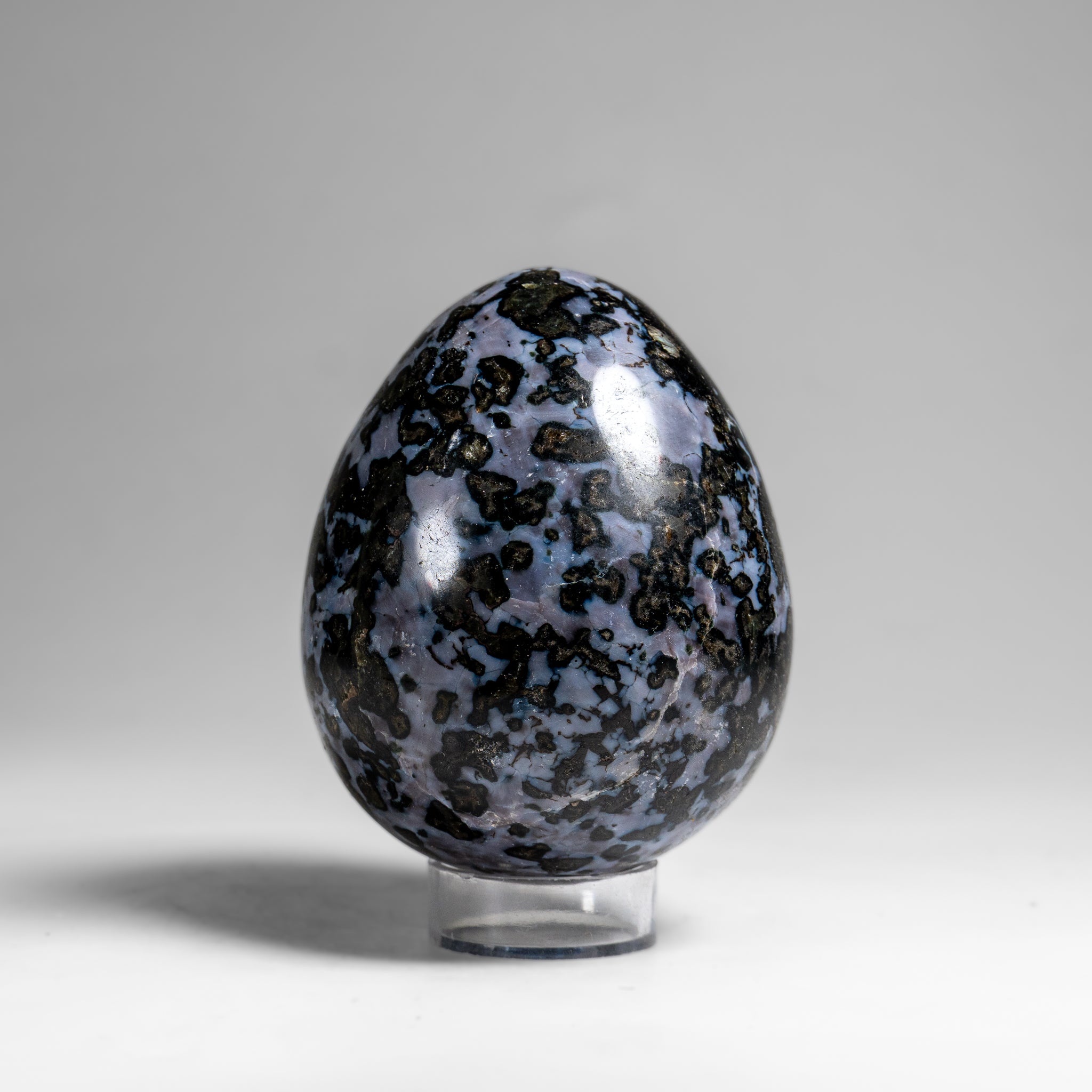 Genuine Polished Indigo Gabbro Egg from Madagascar (1.3 lbs)