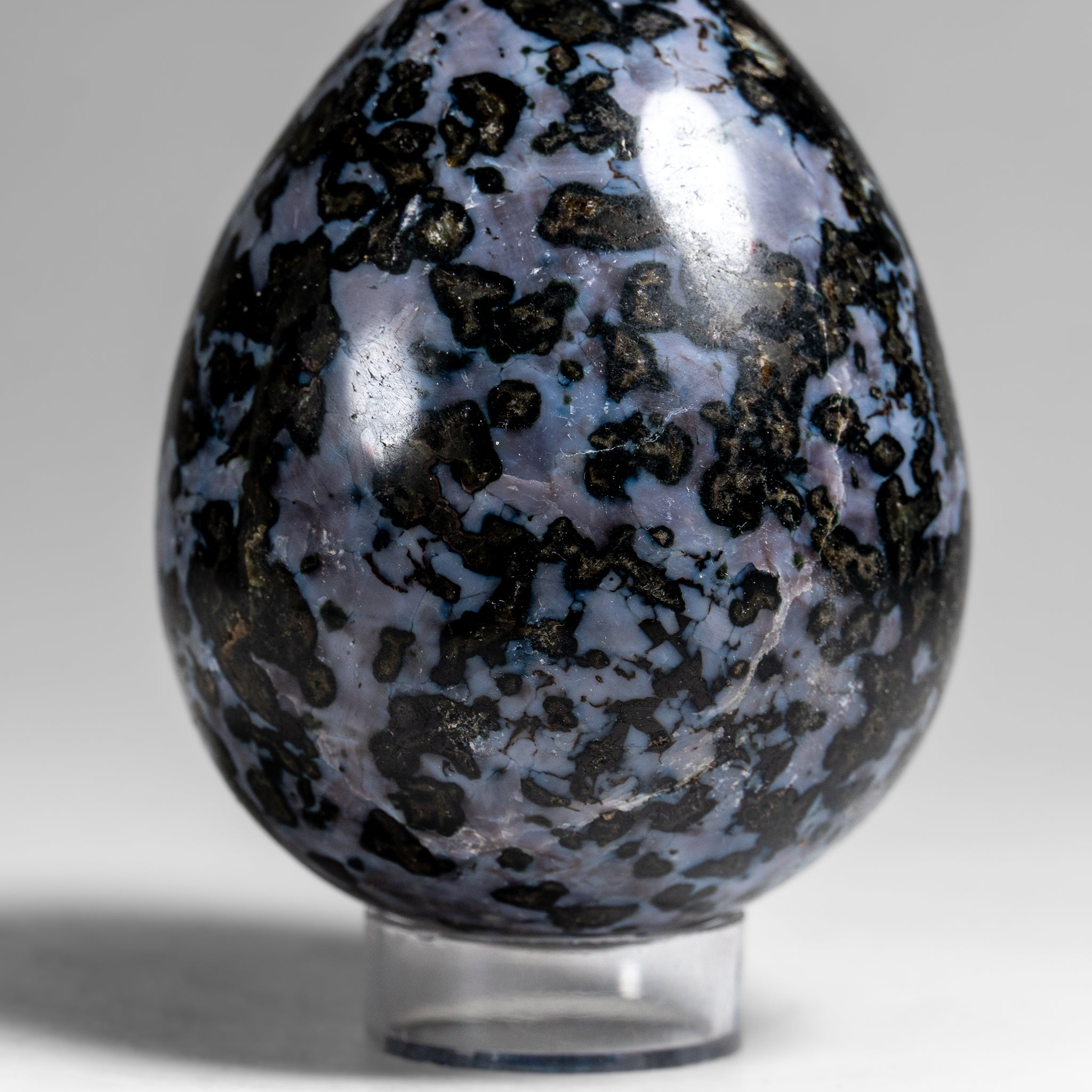 Genuine Polished Indigo Gabbro Egg from Madagascar (1.3 lbs)