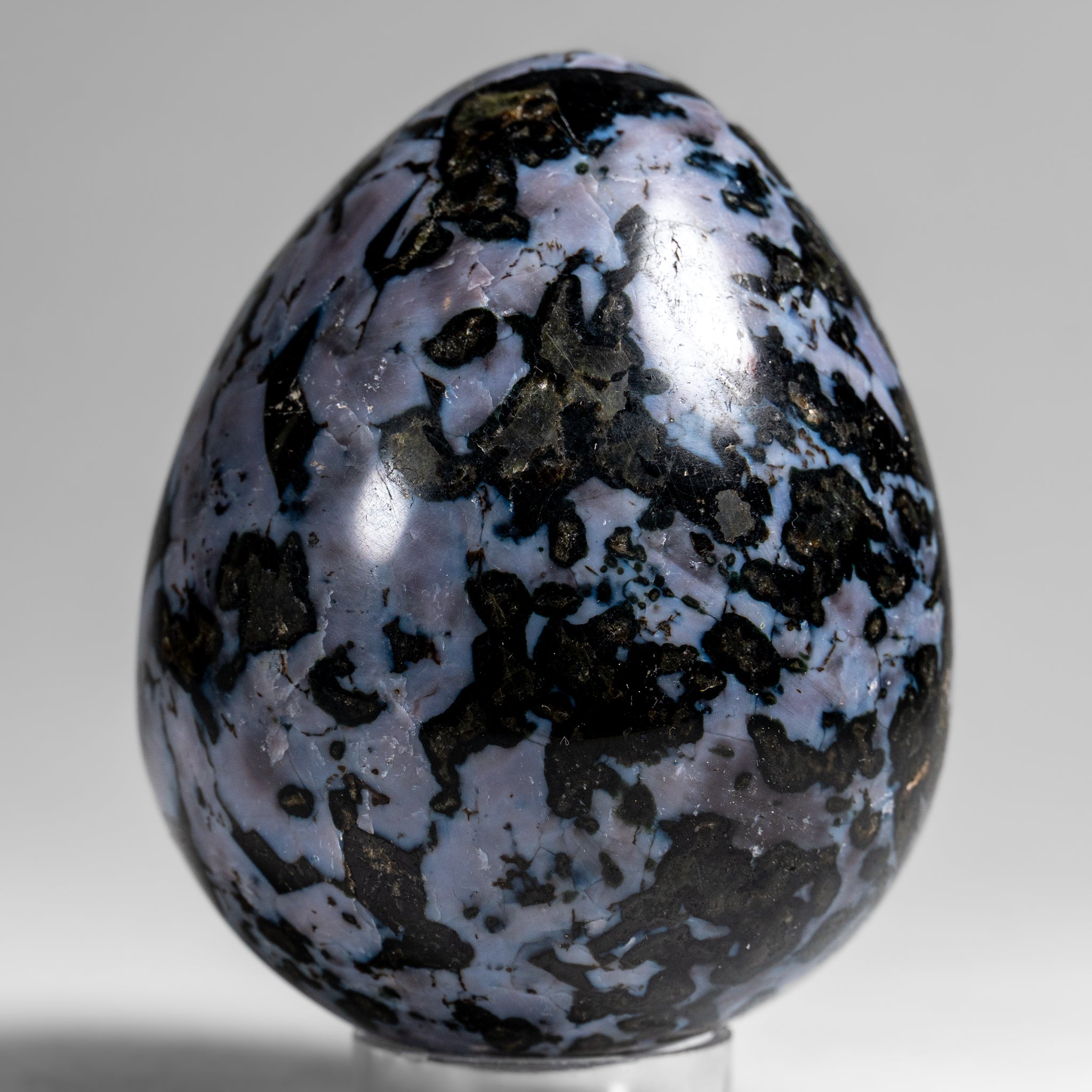 Genuine Polished Indigo Gabbro Egg from Madagascar (1.3 lbs)