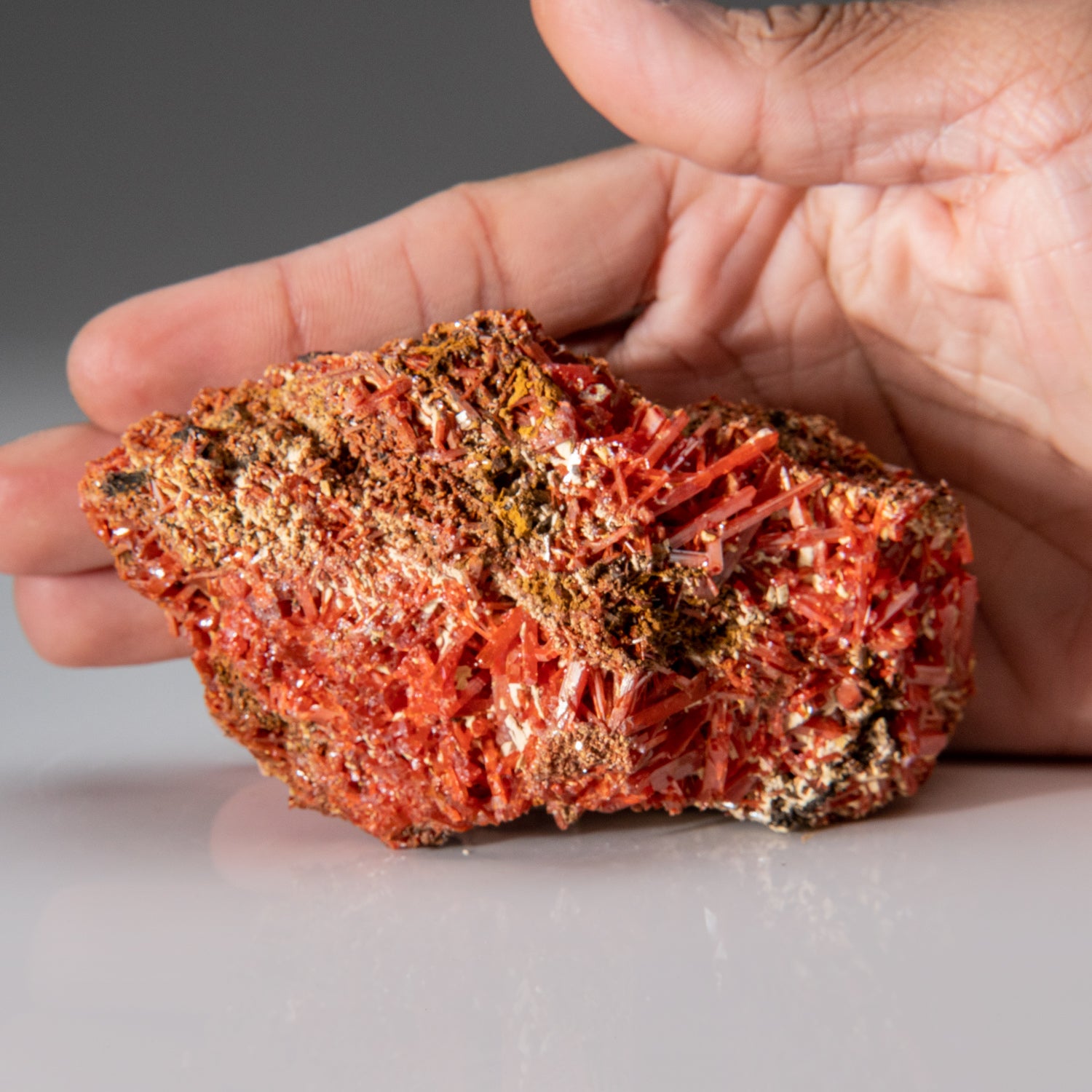 Crocoite From Red Lead Mine, Dundas, Tasmania, Australia