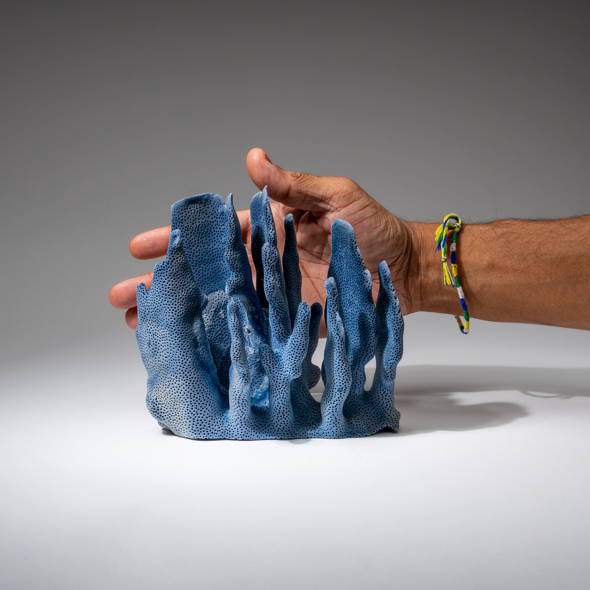 Genuine Blue Ridge Coral (6", 1 lbs)