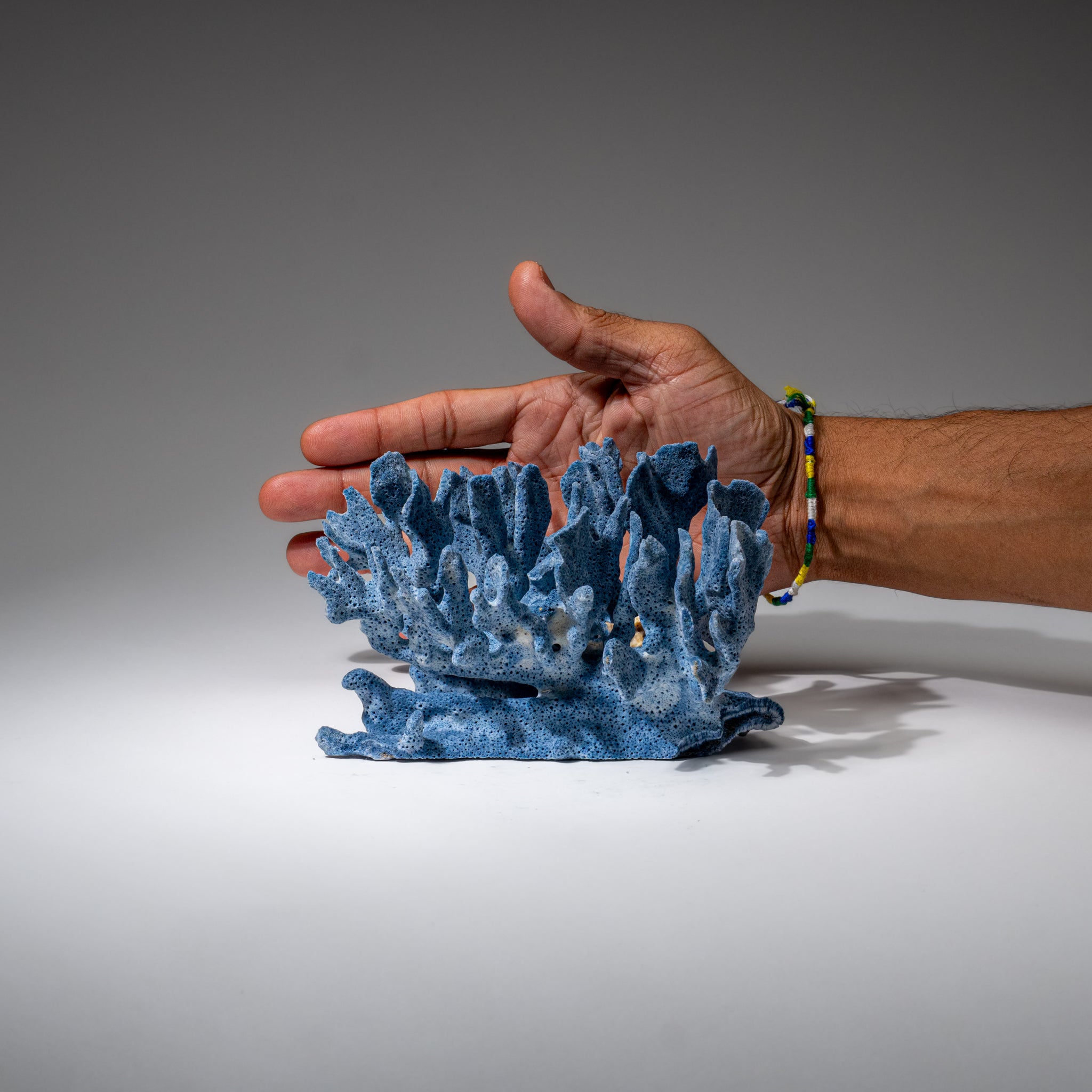 Genuine Blue Ridge Coral (4", .5 lbs)