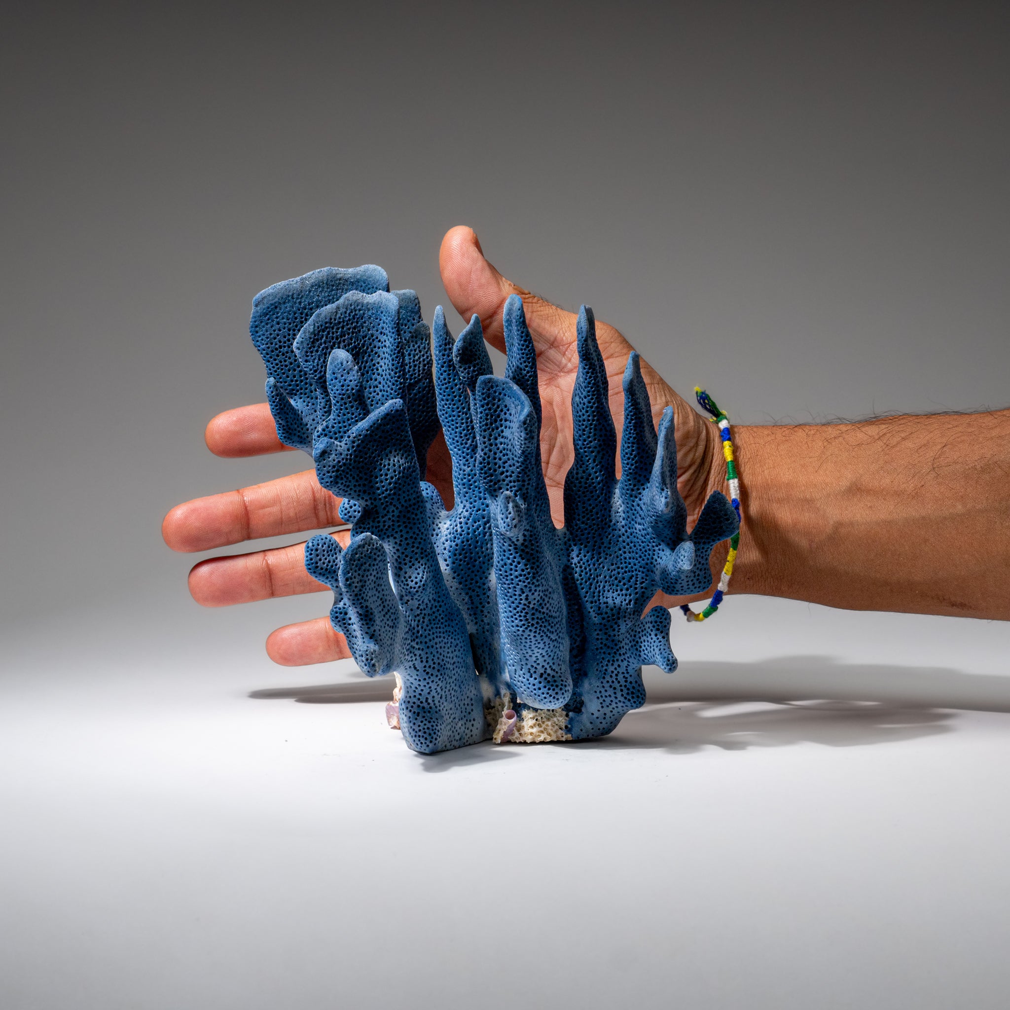 Genuine Blue Ridge Coral (7", 1 lbs)