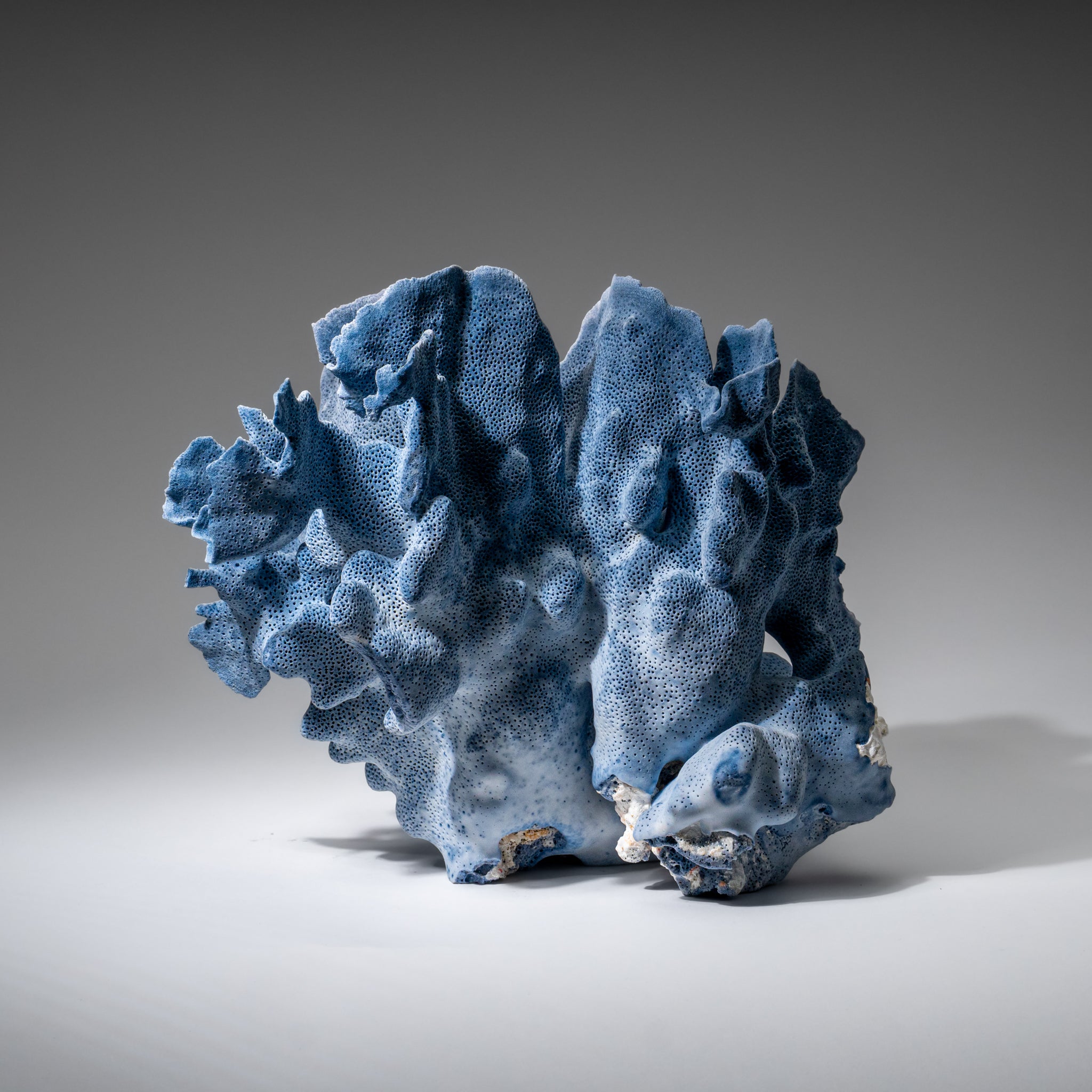 Genuine Blue Ridge Coral (8", 5.5 lbs)
