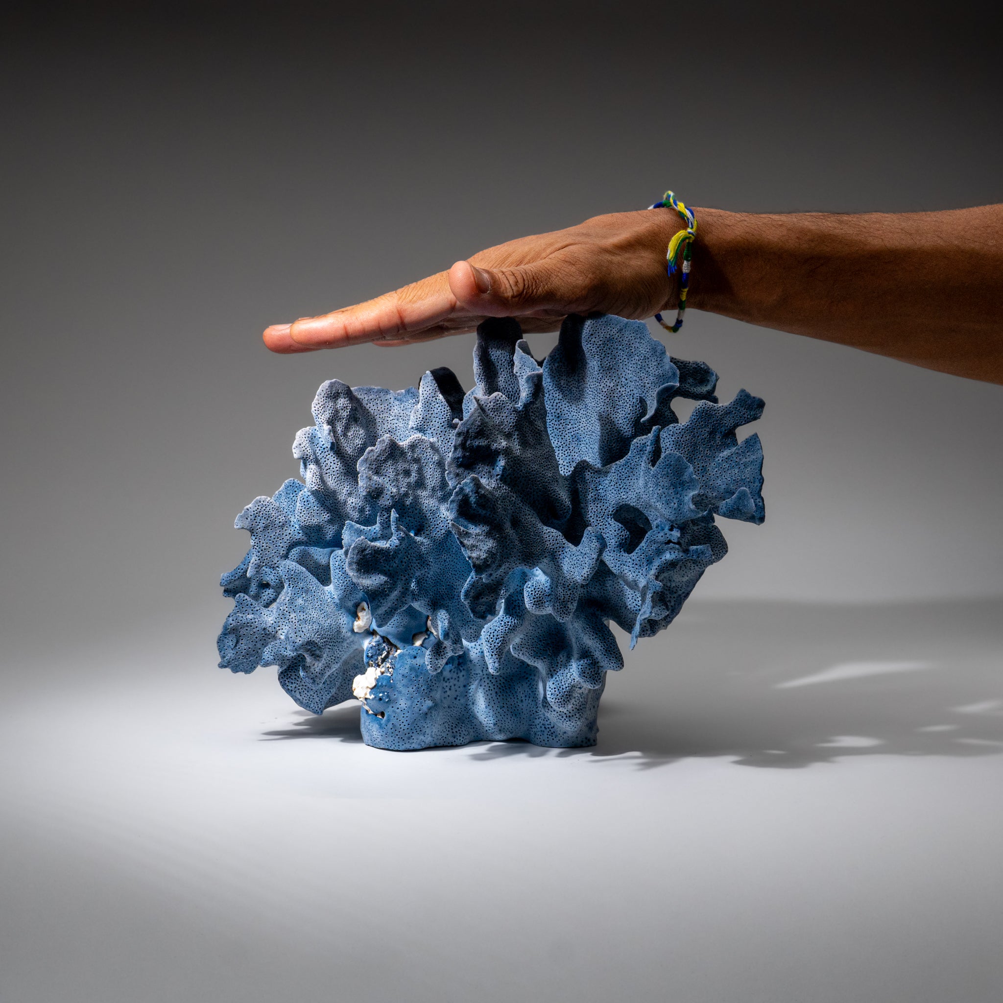 Genuine Blue Ridge Coral (8", 5.5 lbs)