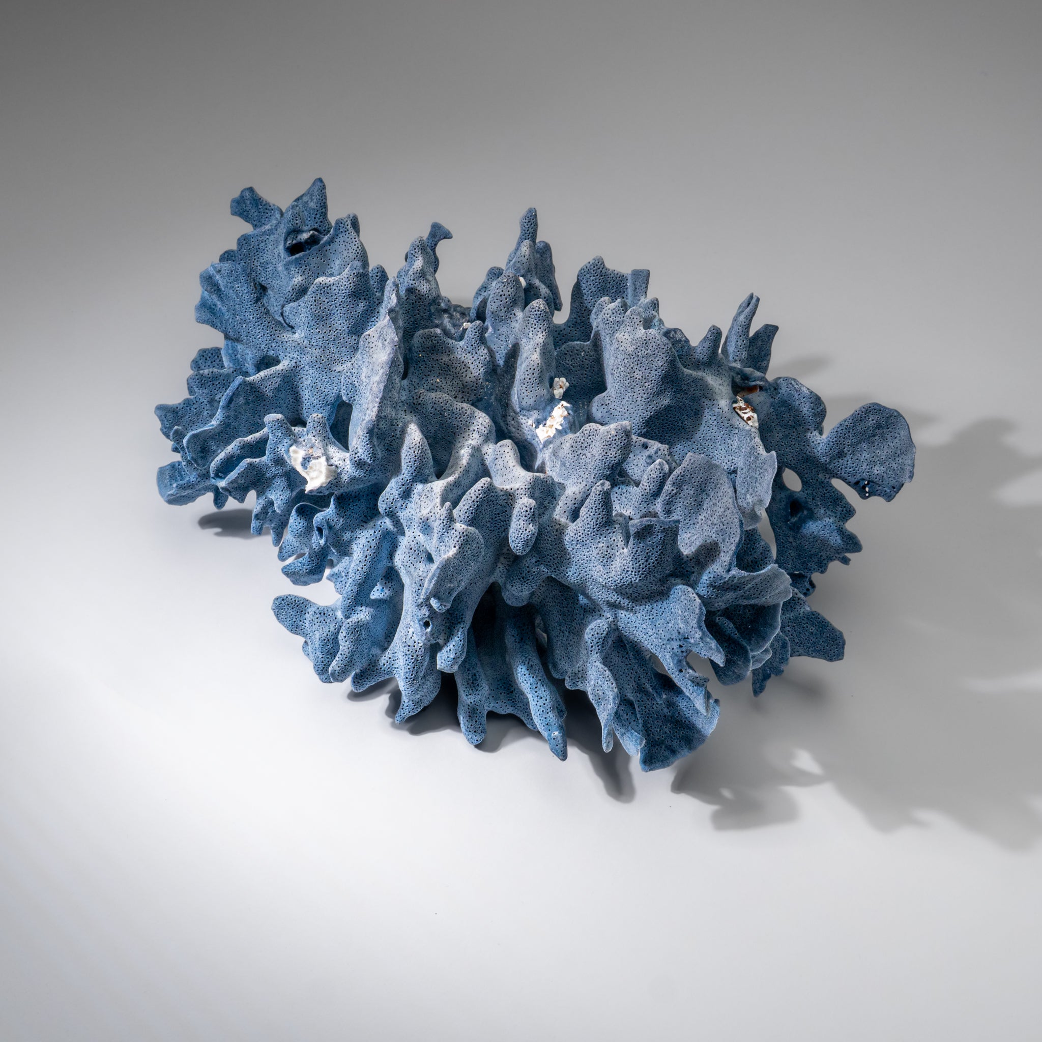 Genuine Blue Ridge Coral (6", 8.5 lbs)