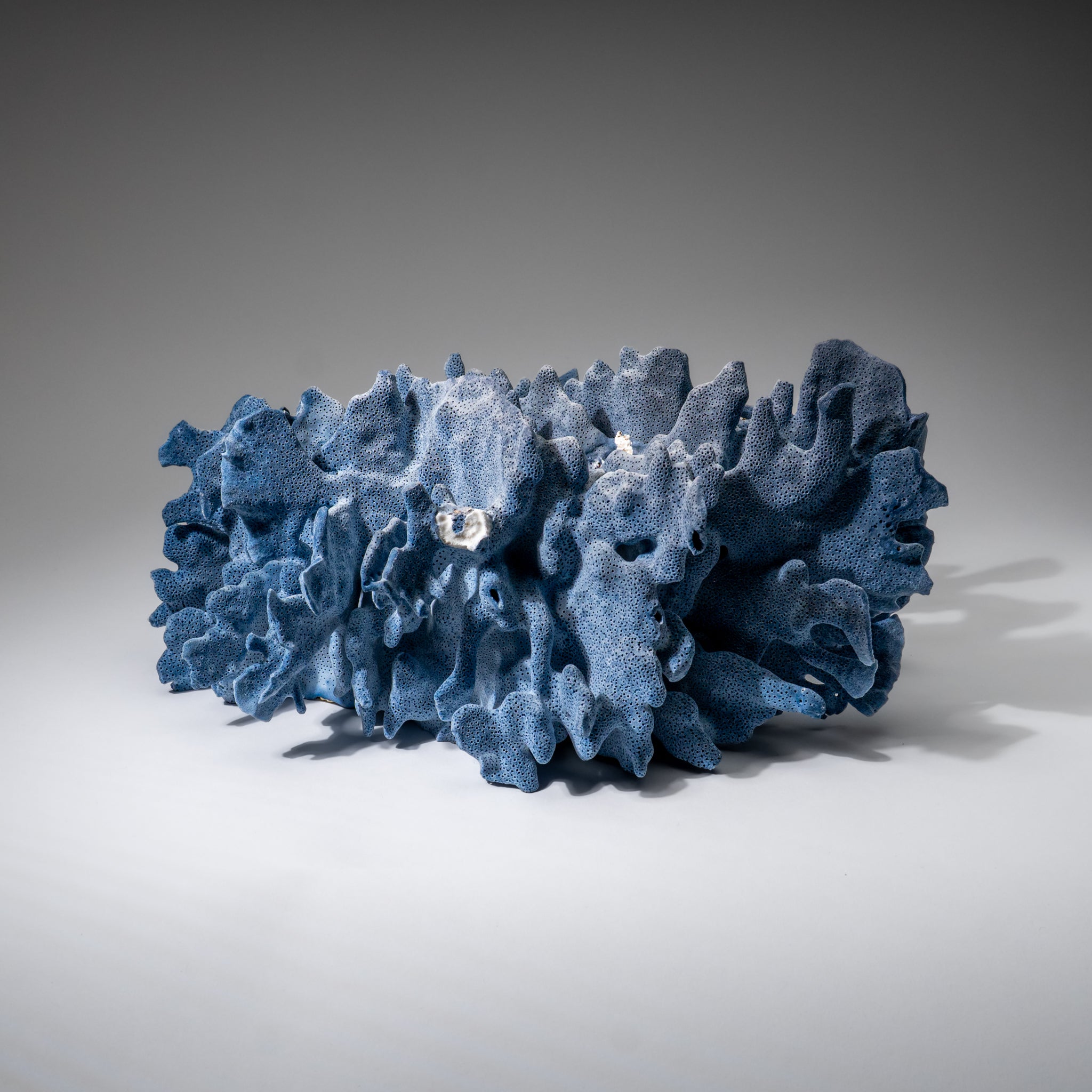 Genuine Blue Ridge Coral (6", 8.5 lbs)