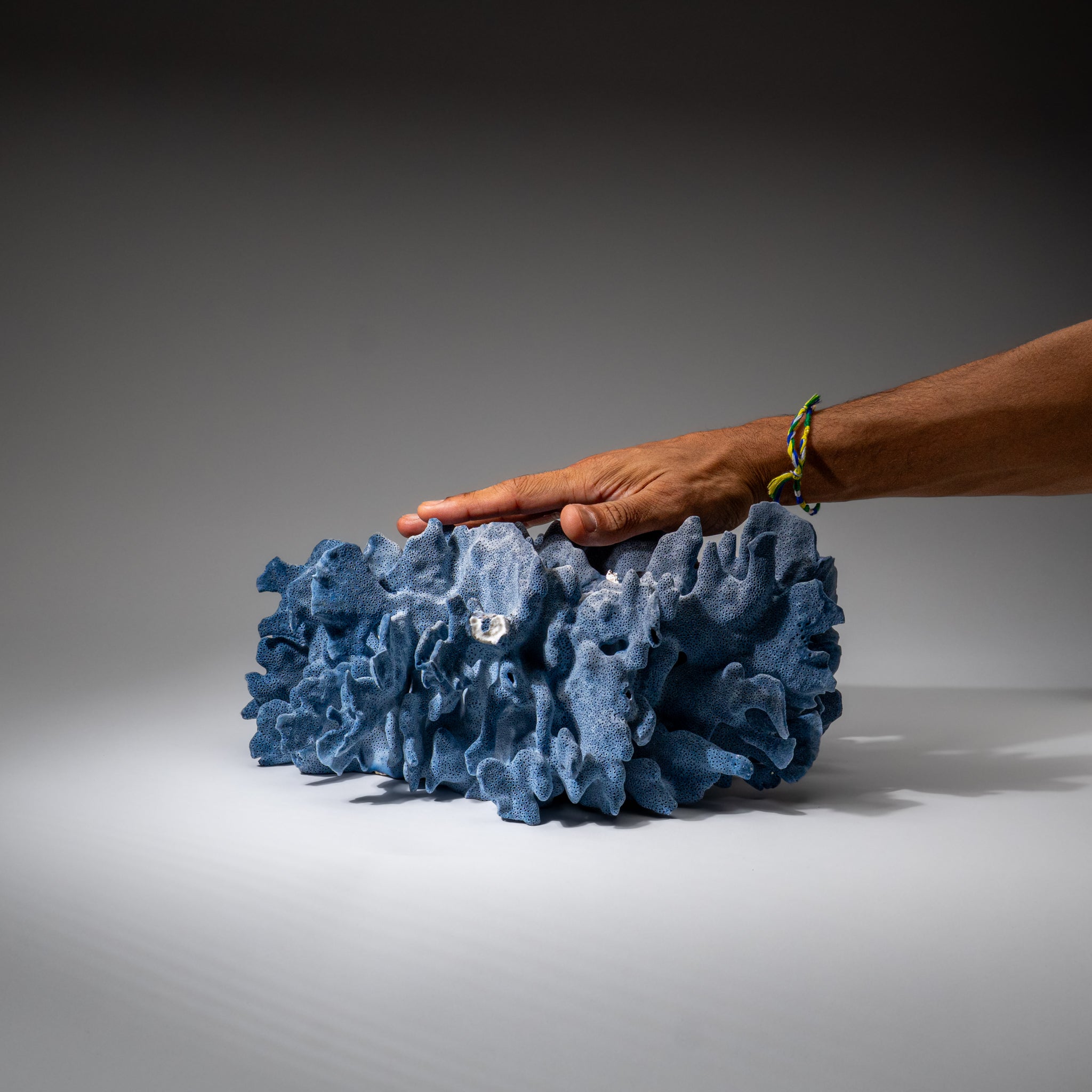 Genuine Blue Ridge Coral (6", 8.5 lbs)