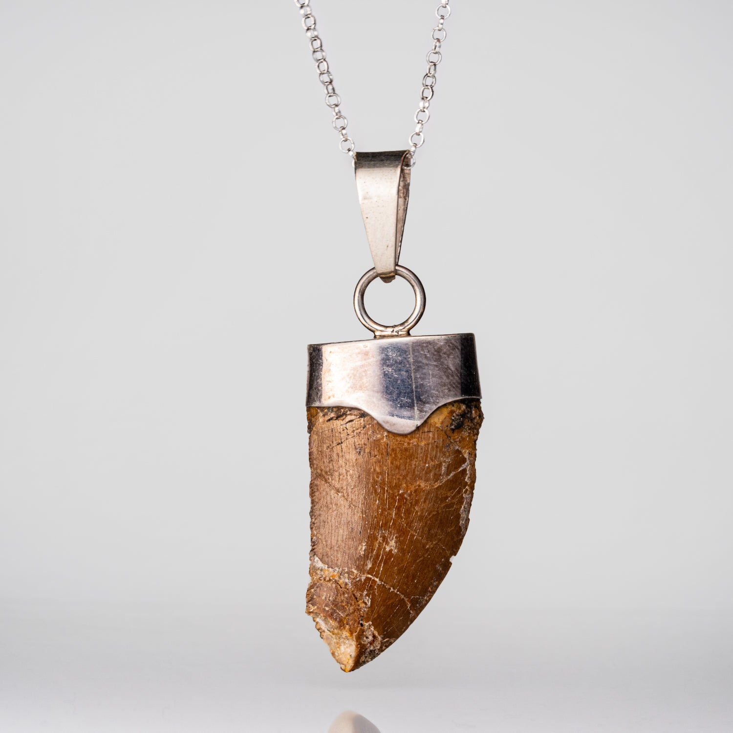 Genuine Tyrannosaurus Rex Tooth Pendant (9.9 grams) with 18" Sterling Silver Necklace
