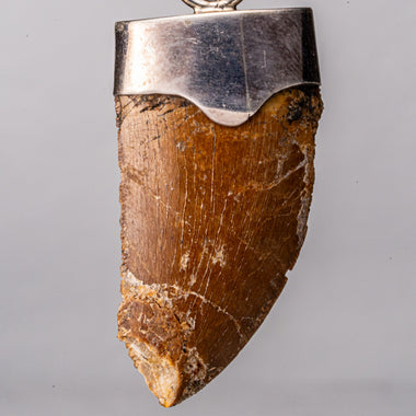 Scddboy Caveman Necklace,Bone Tooth Necklace for men | Amazon.com