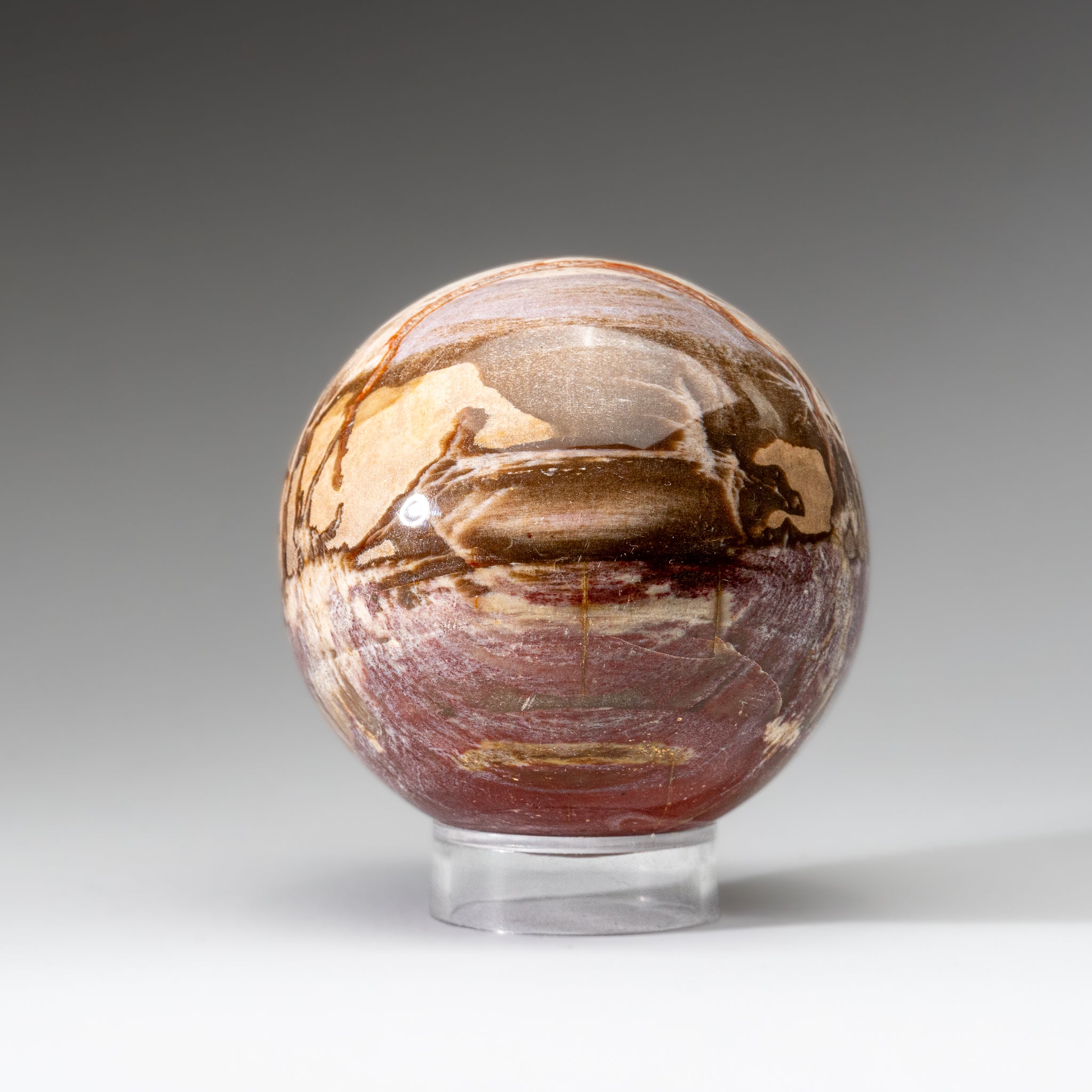 Polished Petrified Wood Sphere from Madagascar (3.5", 2.3 lbs)