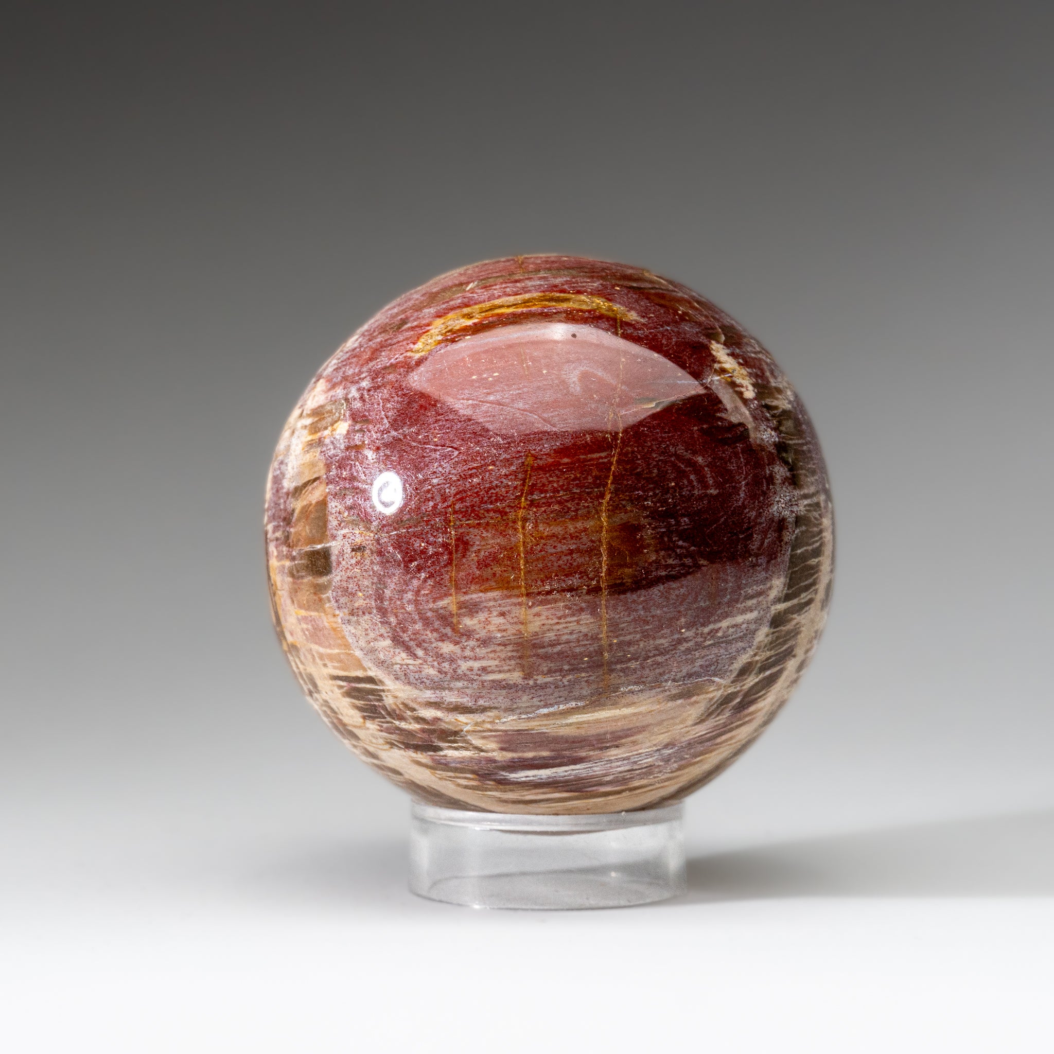 Polished Petrified Wood Sphere from Madagascar (3.5", 2.3 lbs)