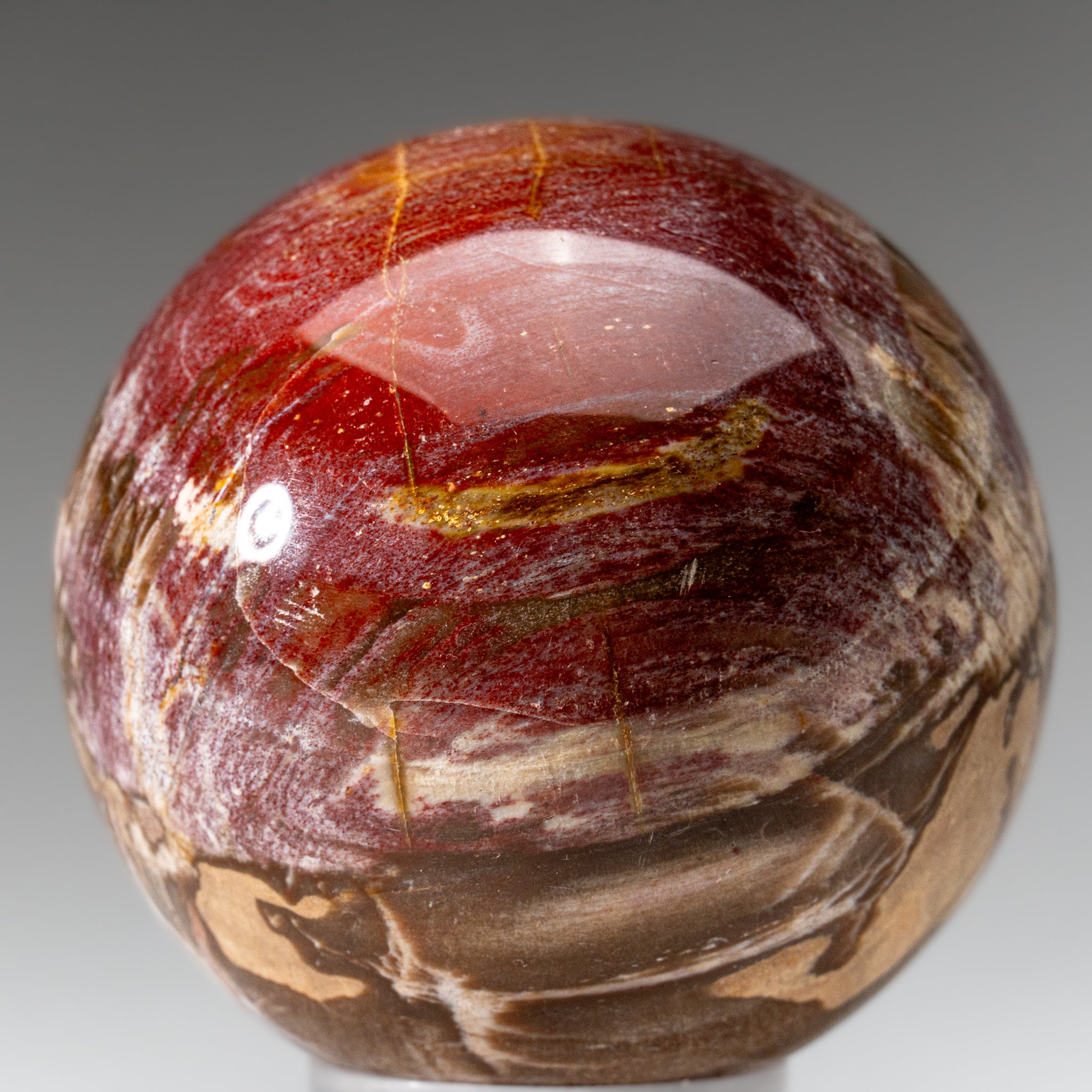 Polished Petrified Wood Sphere from Madagascar (3.5", 2.3 lbs)