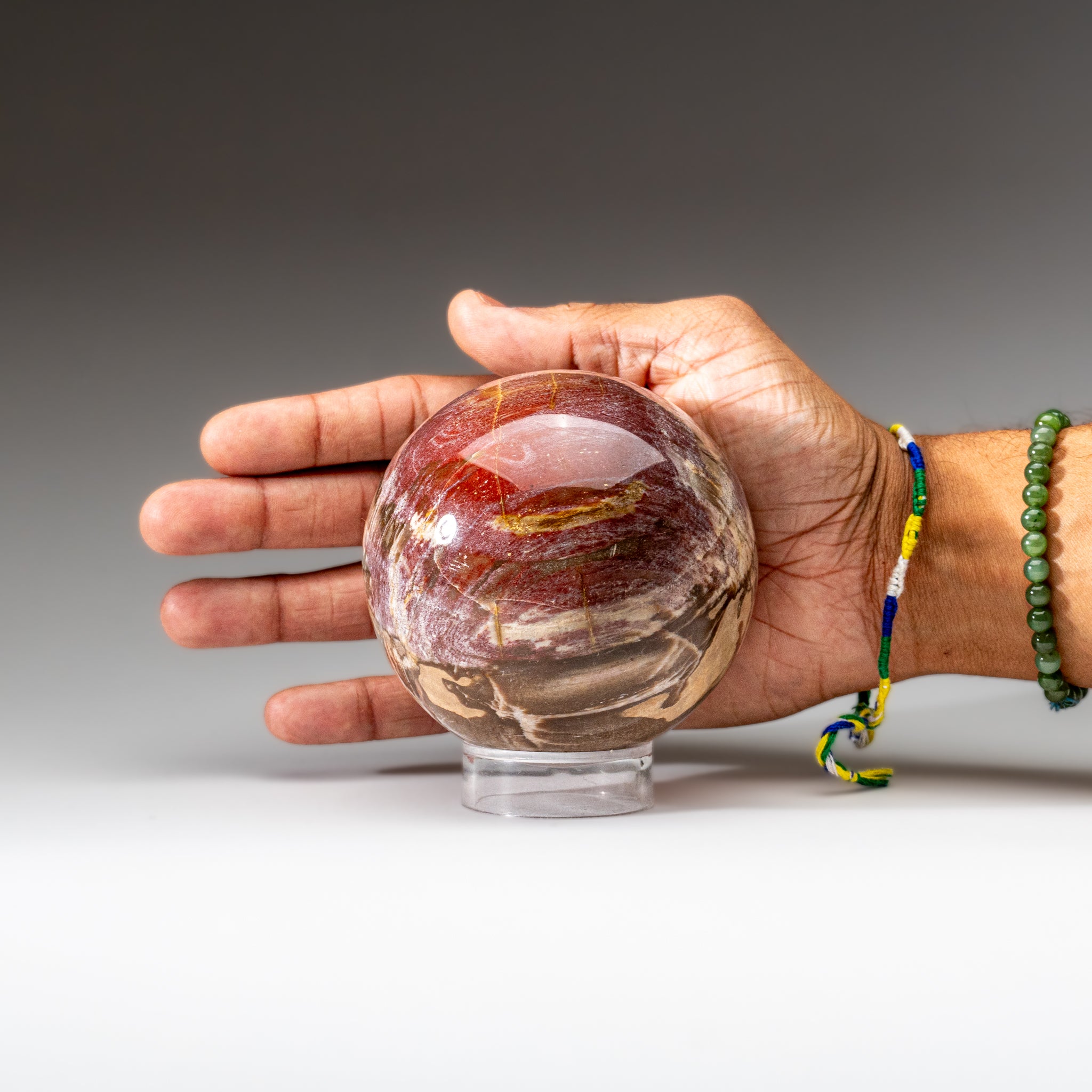 Polished Petrified Wood Sphere from Madagascar (3.5", 2.3 lbs)