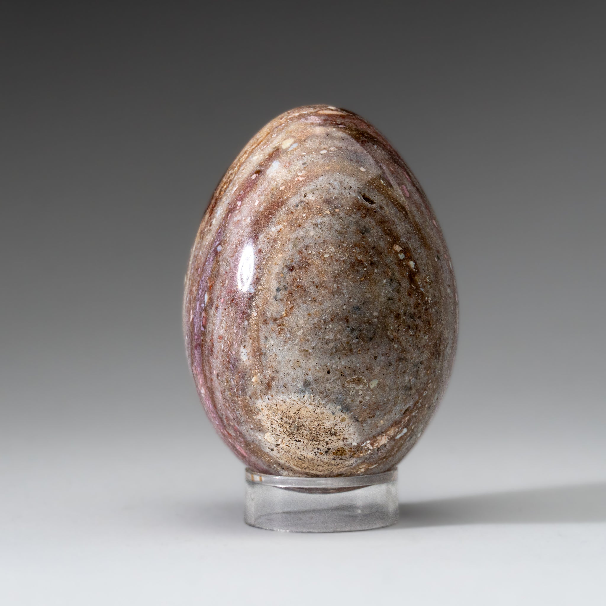 Genuine Polished Ocean Jasper Egg from Madagascar (.7 lbs)