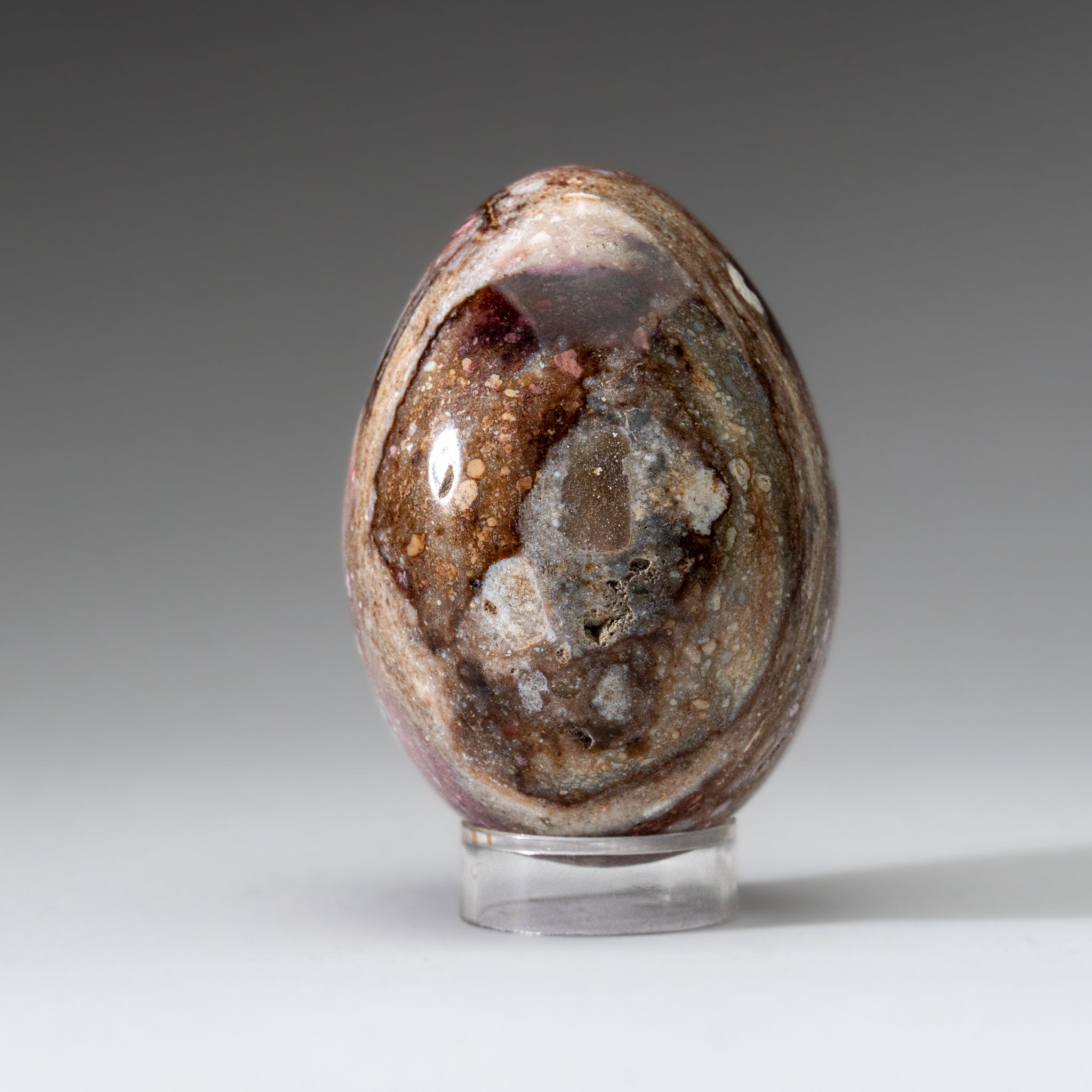 Genuine Polished Ocean Jasper Egg from Madagascar (.7 lbs)