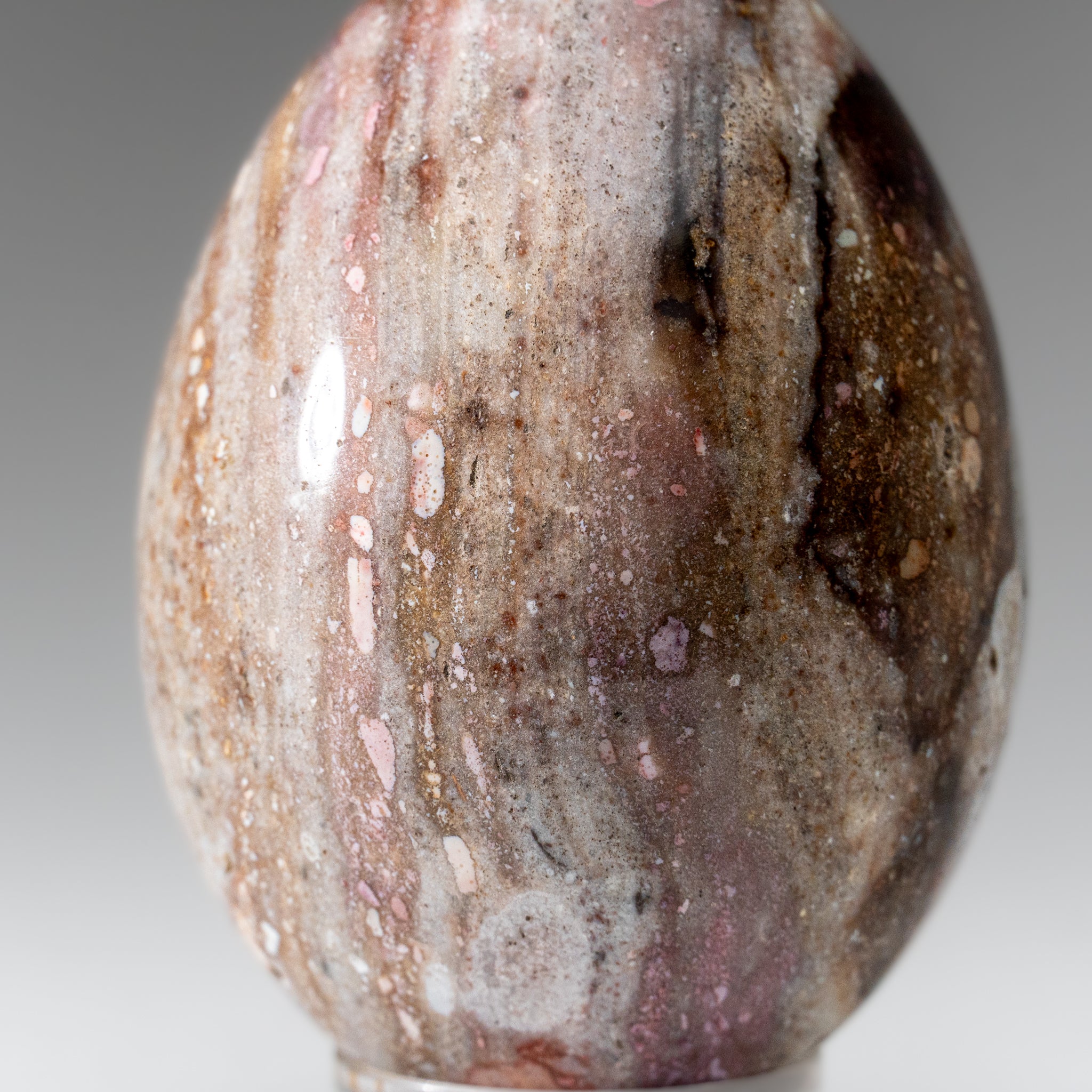 Genuine Polished Ocean Jasper Egg from Madagascar (.7 lbs)