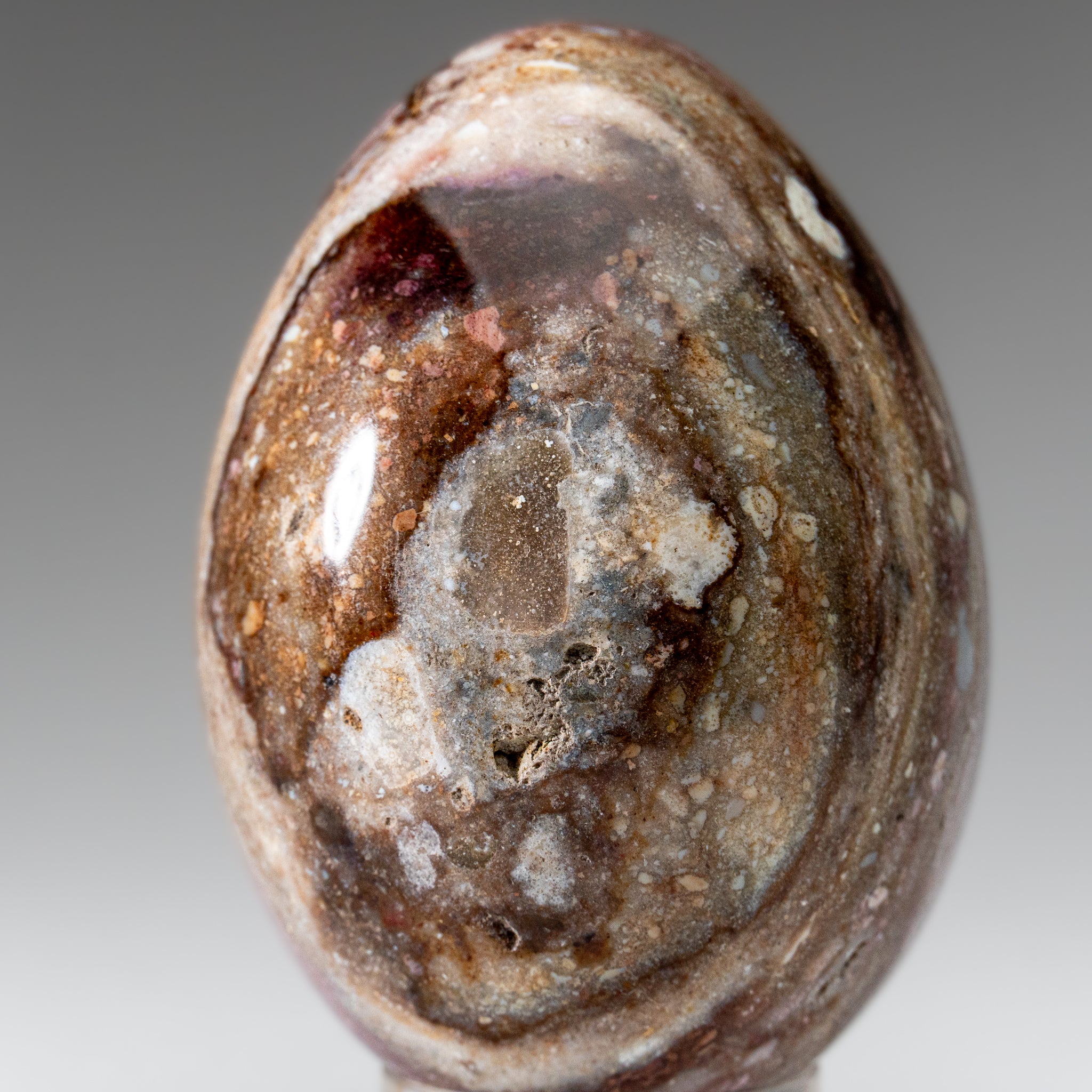 Genuine Polished Ocean Jasper Egg from Madagascar (.7 lbs)