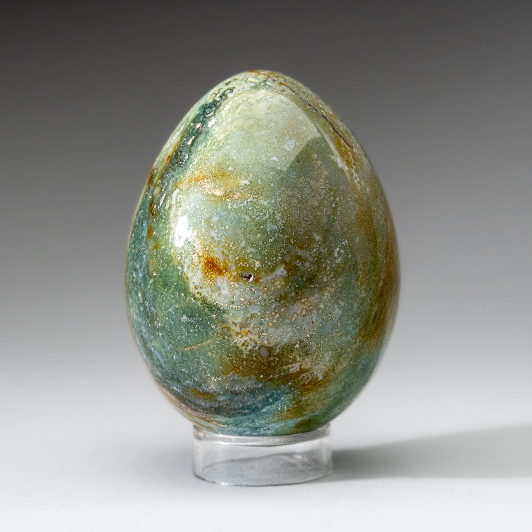 Genuine Polished Ocean Jasper Egg from Madagascar (.9 lbs)