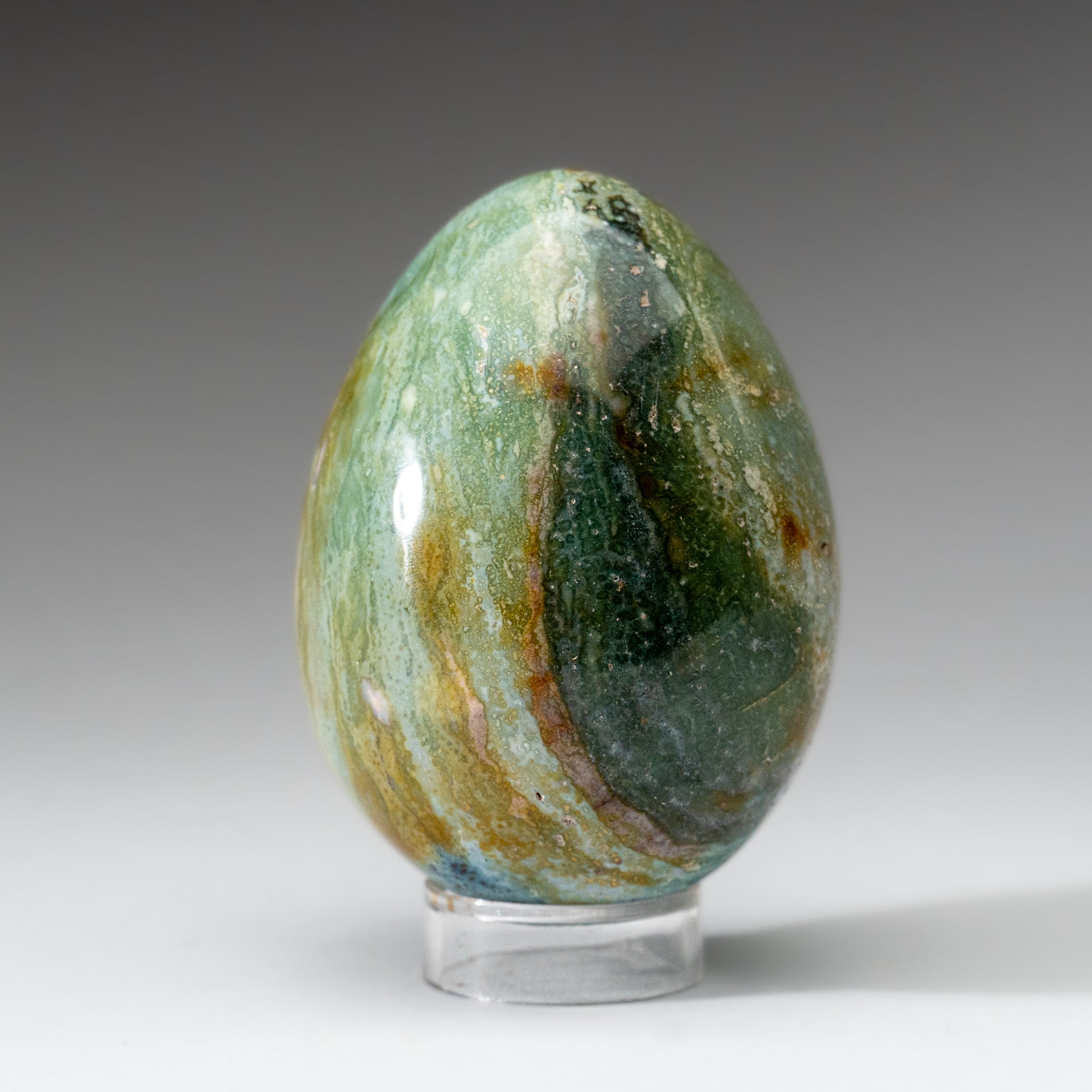 Genuine Polished Ocean Jasper Egg from Madagascar (.9 lbs)