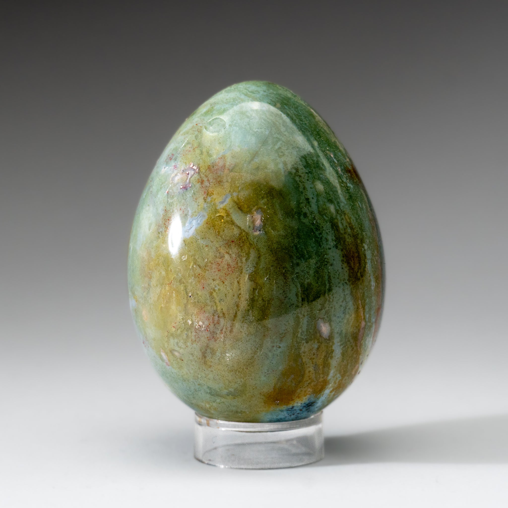 Genuine Polished Ocean Jasper Egg from Madagascar (.9 lbs)