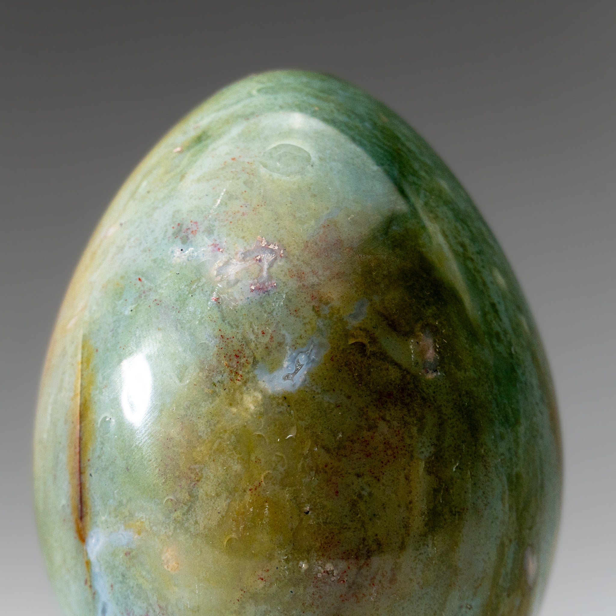 Genuine Polished Ocean Jasper Egg from Madagascar (.9 lbs)