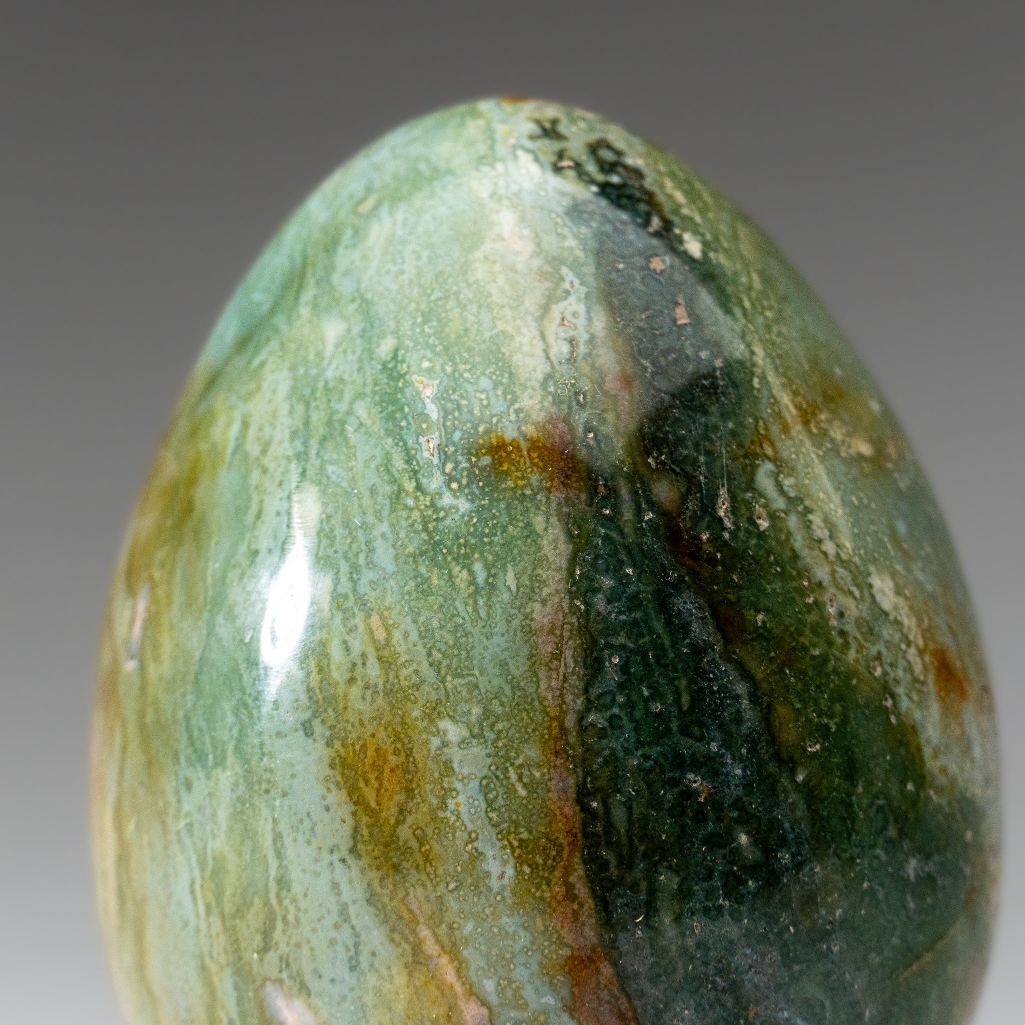 Genuine Polished Ocean Jasper Egg from Madagascar (.9 lbs)