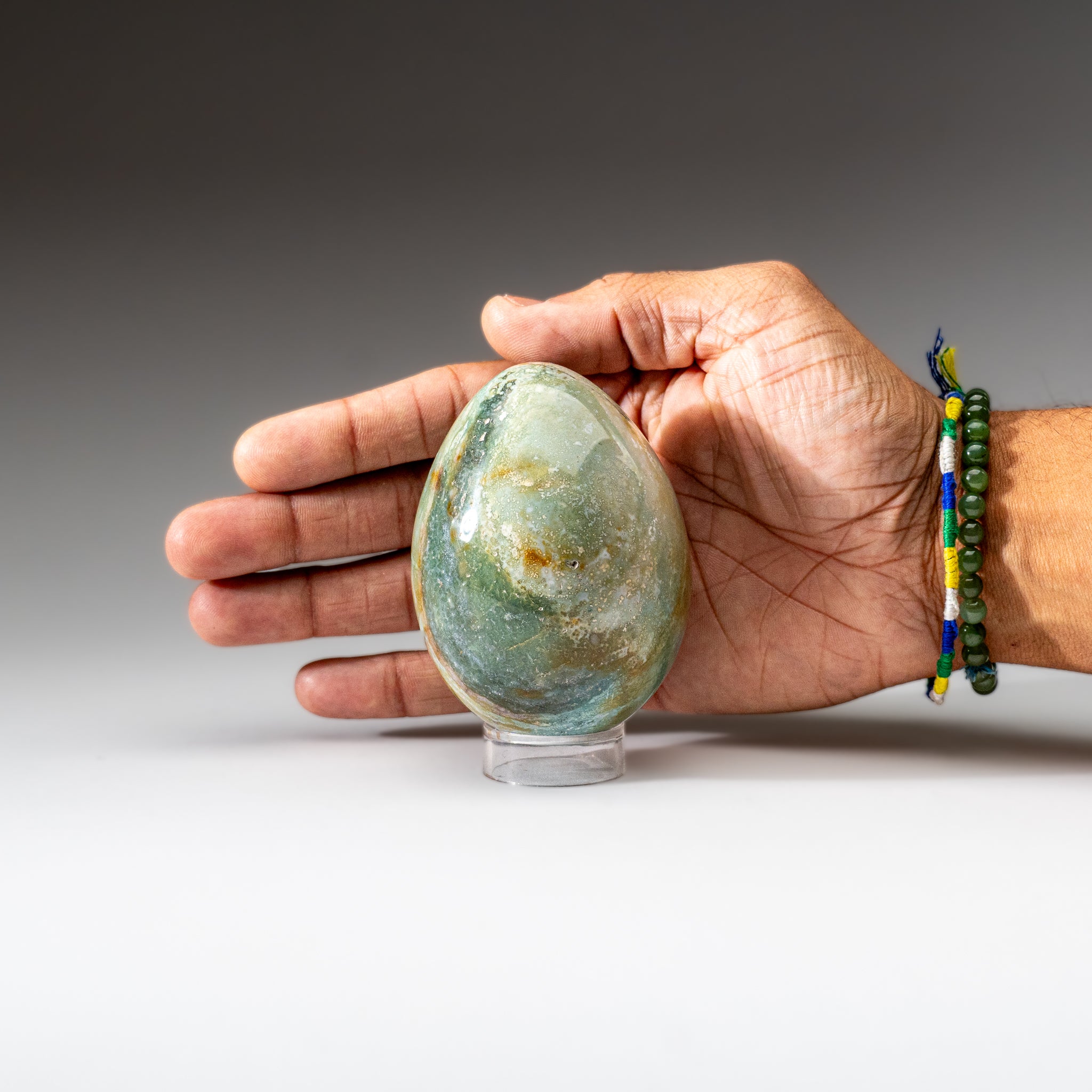 Genuine Polished Ocean Jasper Egg from Madagascar (.9 lbs)