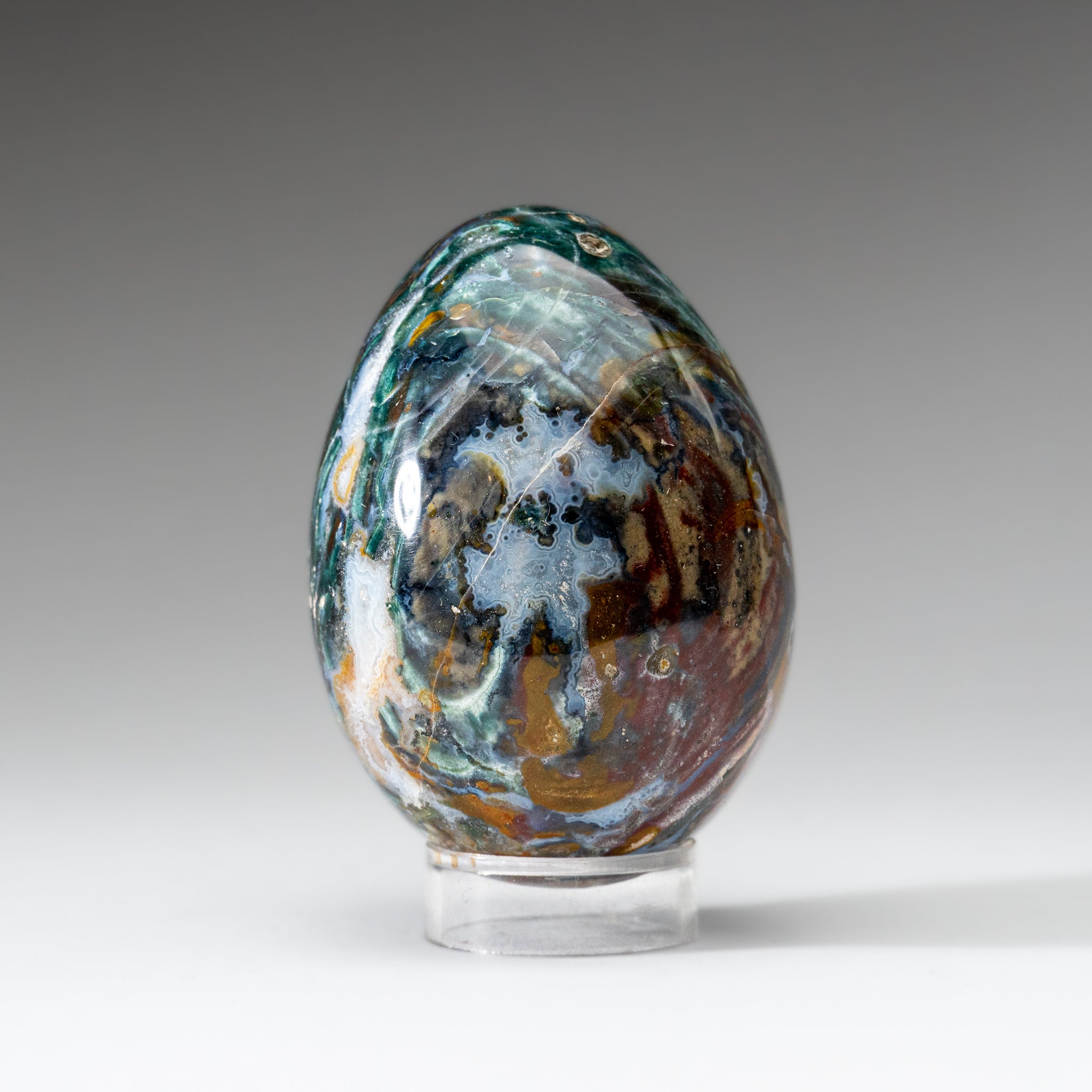 Genuine Polished Ocean Jasper Egg from Madagascar (.7 lbs)
