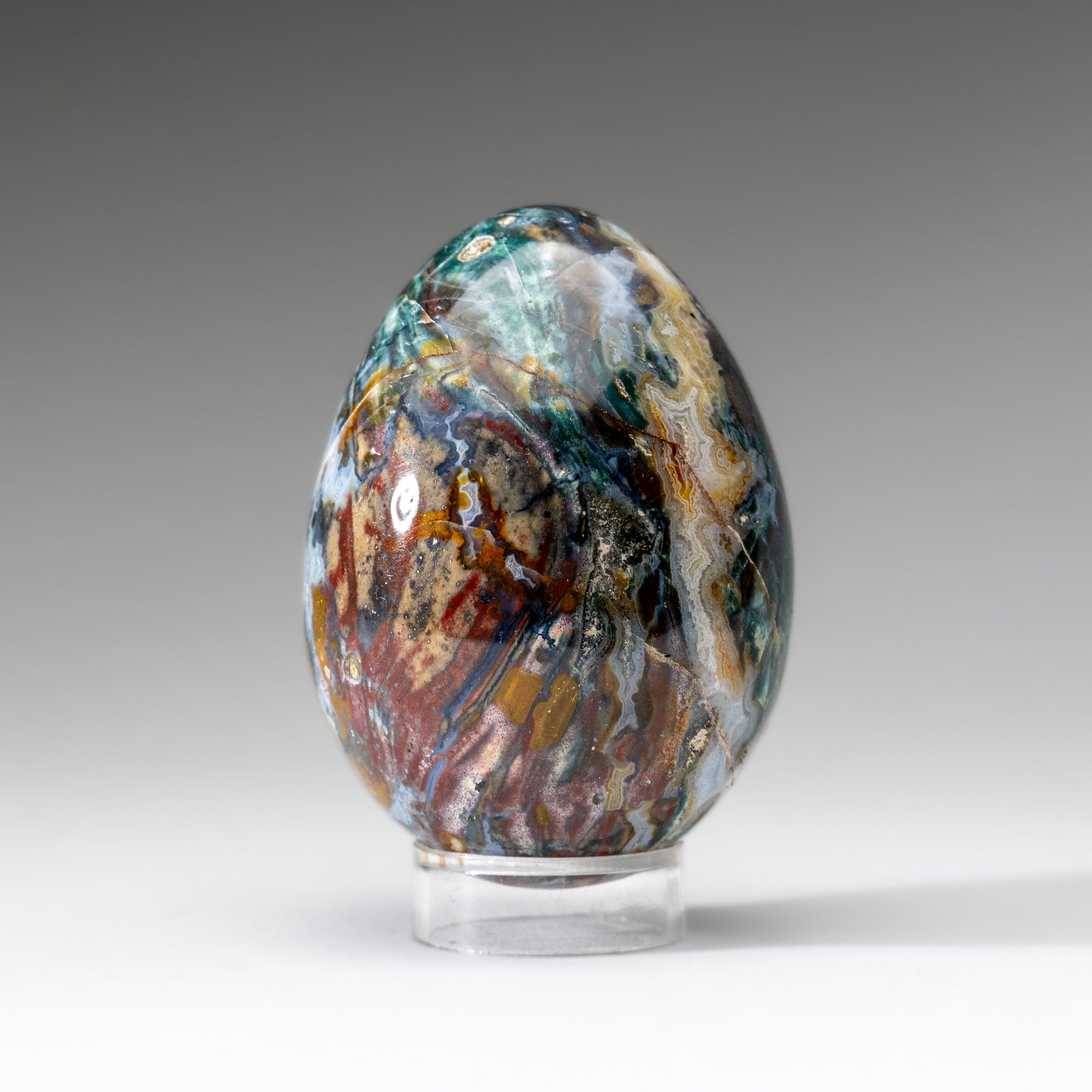 Genuine Polished Ocean Jasper Egg from Madagascar (.7 lbs)