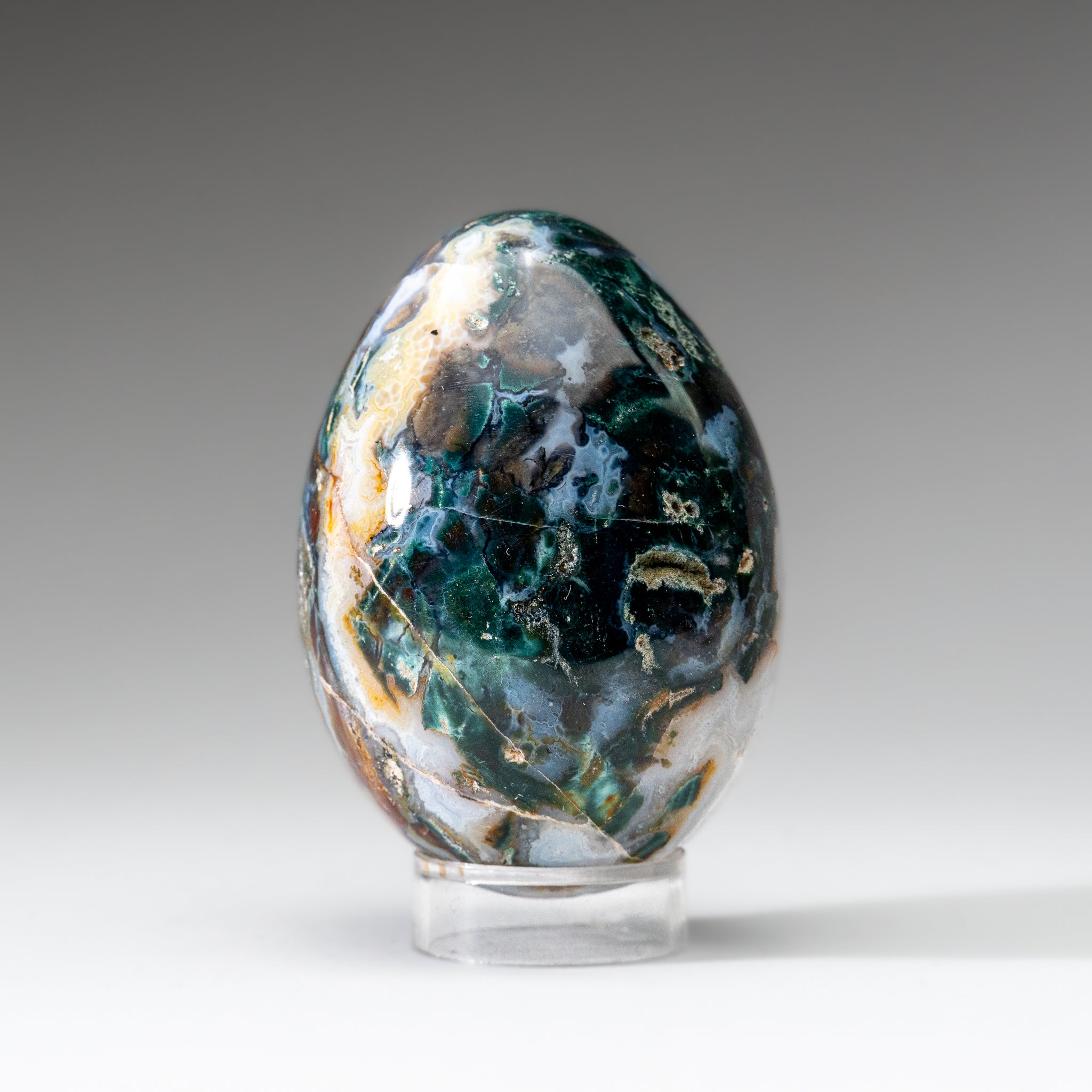 Genuine Polished Ocean Jasper Egg from Madagascar (.7 lbs)