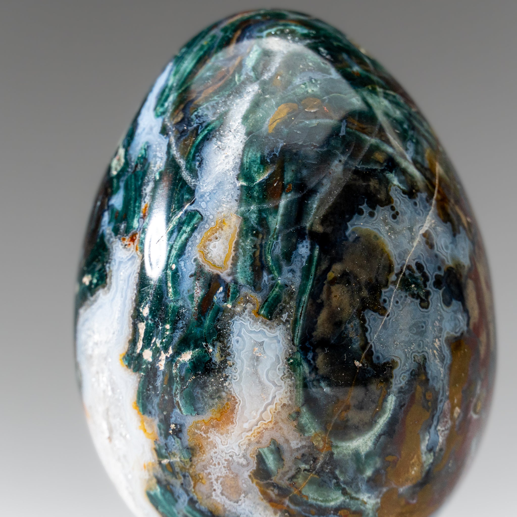 Genuine Polished Ocean Jasper Egg from Madagascar (.7 lbs)