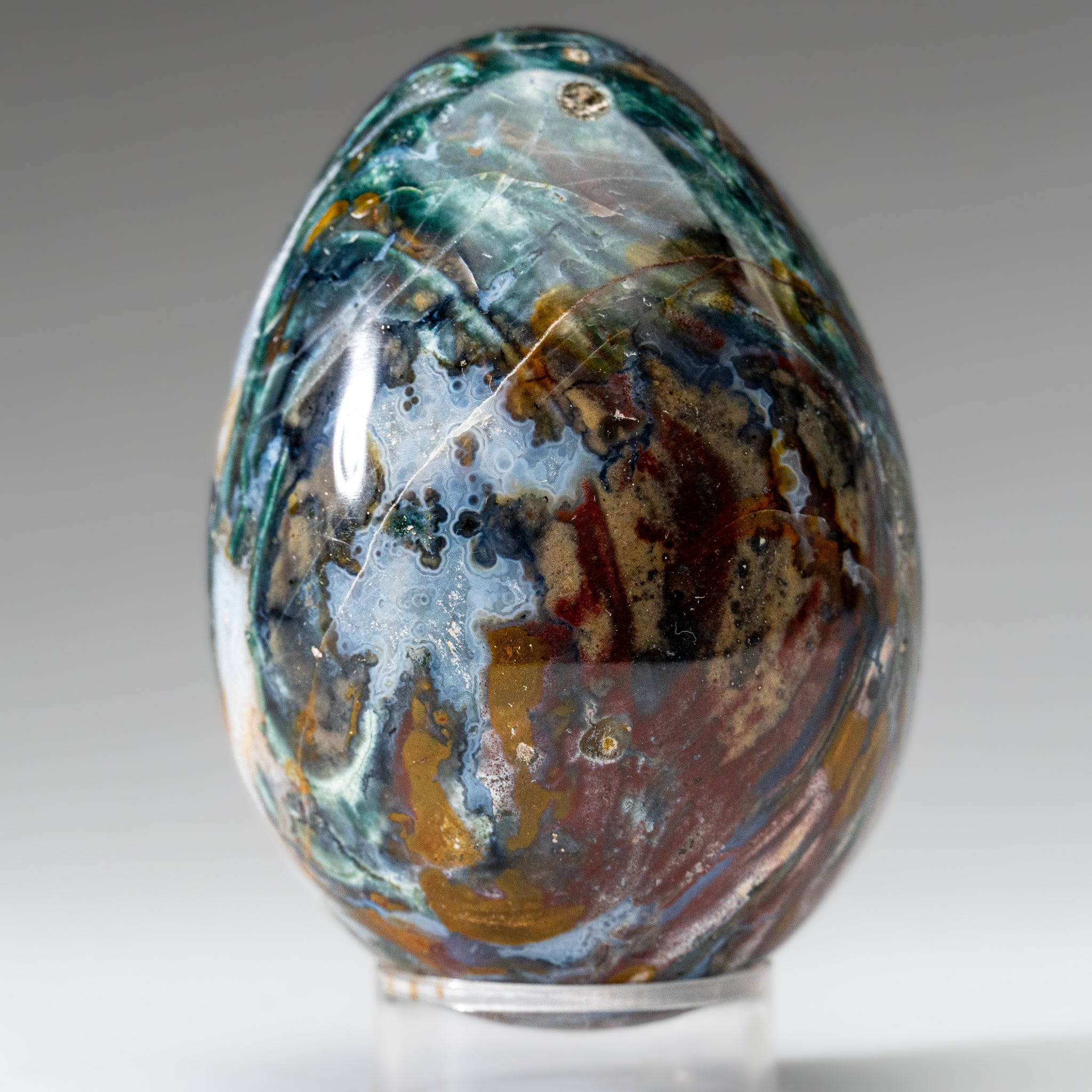 Genuine Polished Ocean Jasper Egg from Madagascar (.7 lbs)