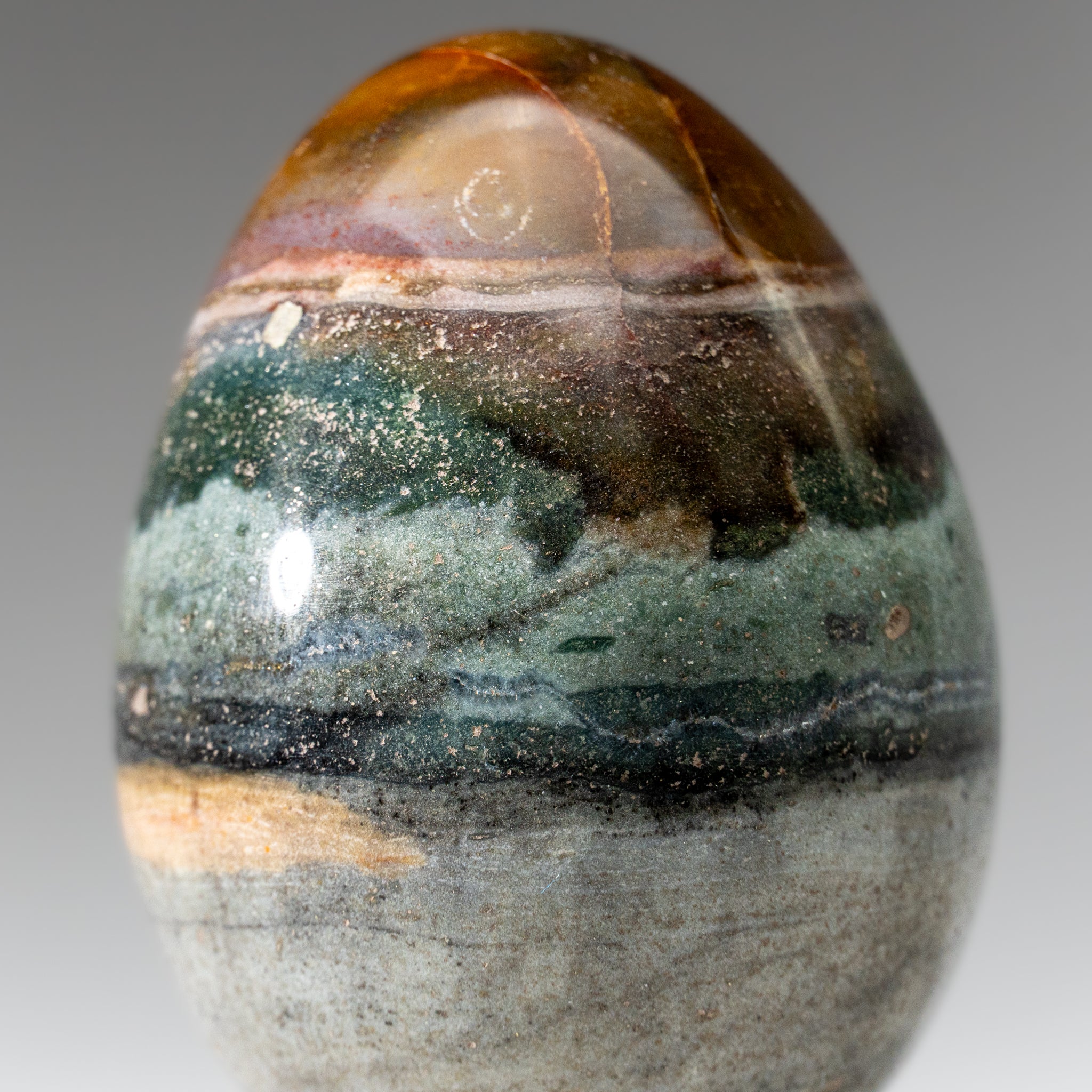 Genuine Polished Ocean Jasper Egg from Madagascar (.7 lbs)